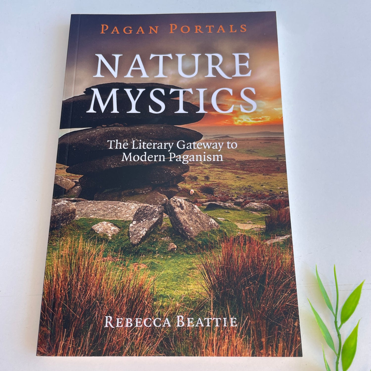 Pagan Portals Nature Mystics Rebecca Beattie