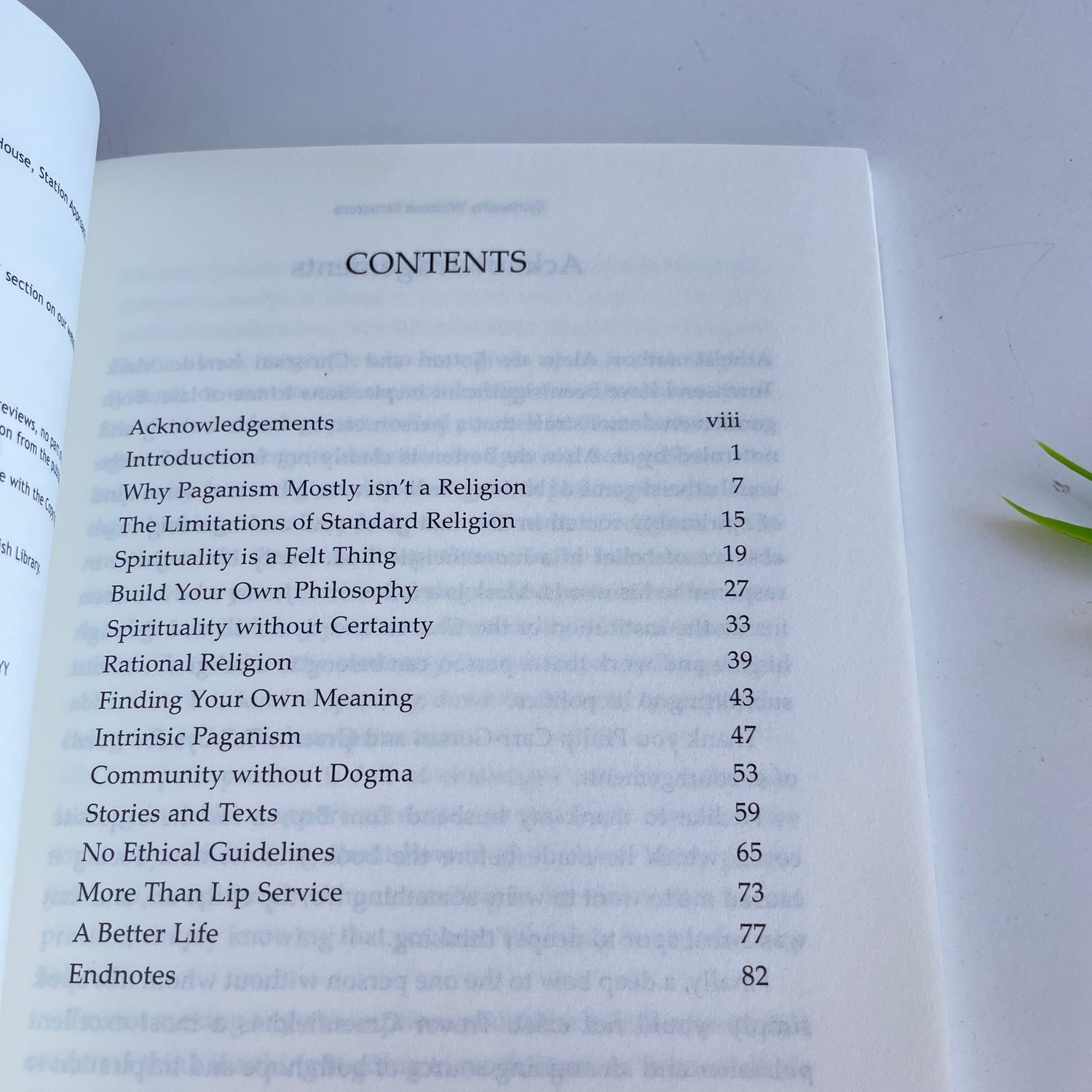 Pagan Portals Spirituality Without Structure Nimue Brown