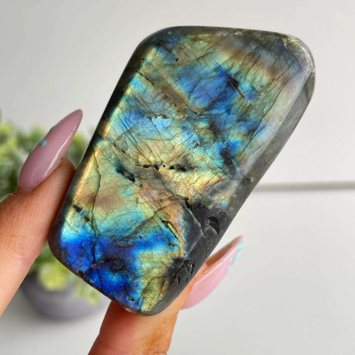 Labradorite Freeform 116g