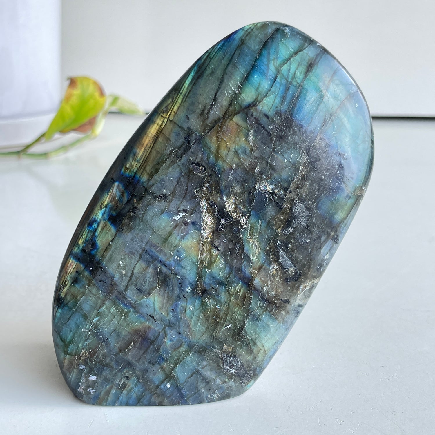 Labradorite Freeform 11.9cm