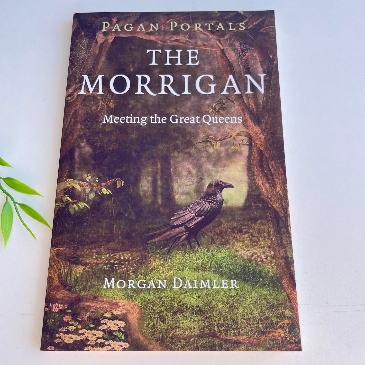 Pagan Portals The Morrigan Morgan Daimler