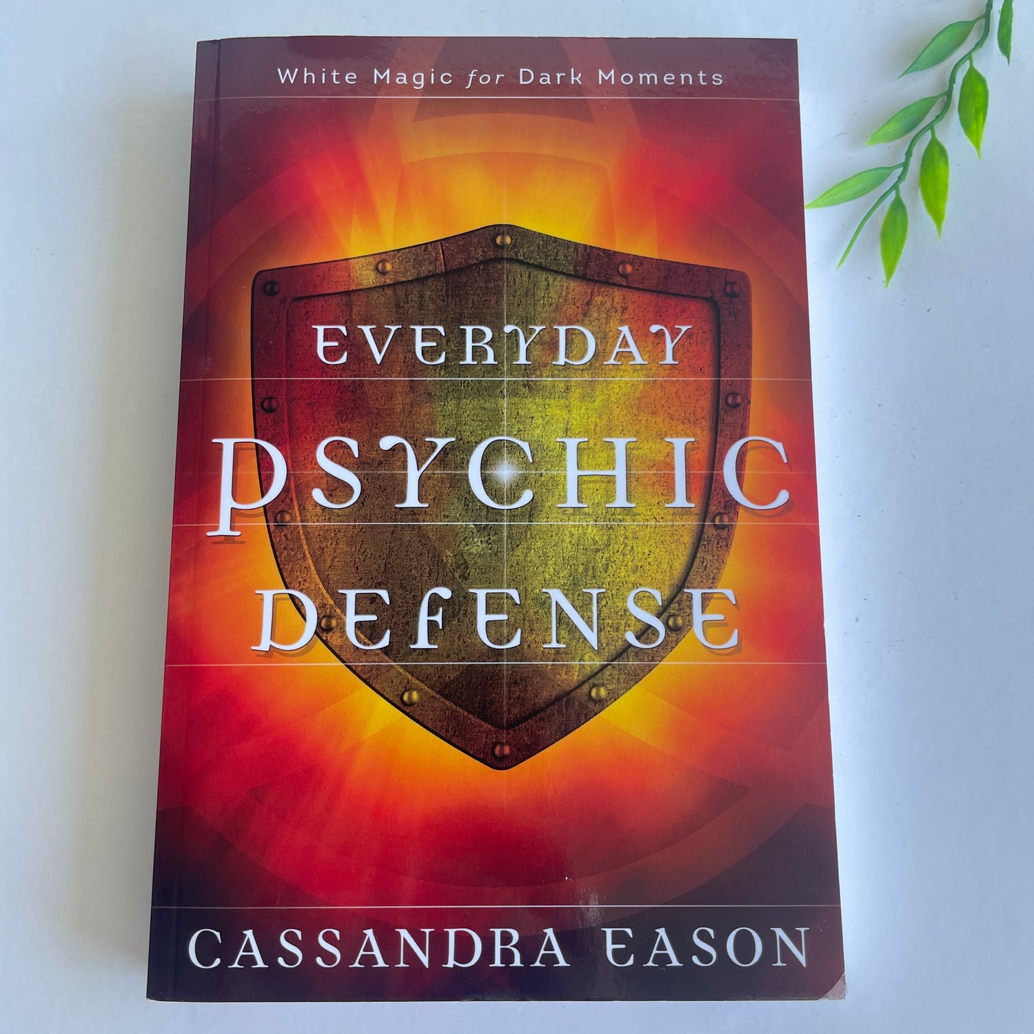 Everyday Psychic Defense Cassandra Eason