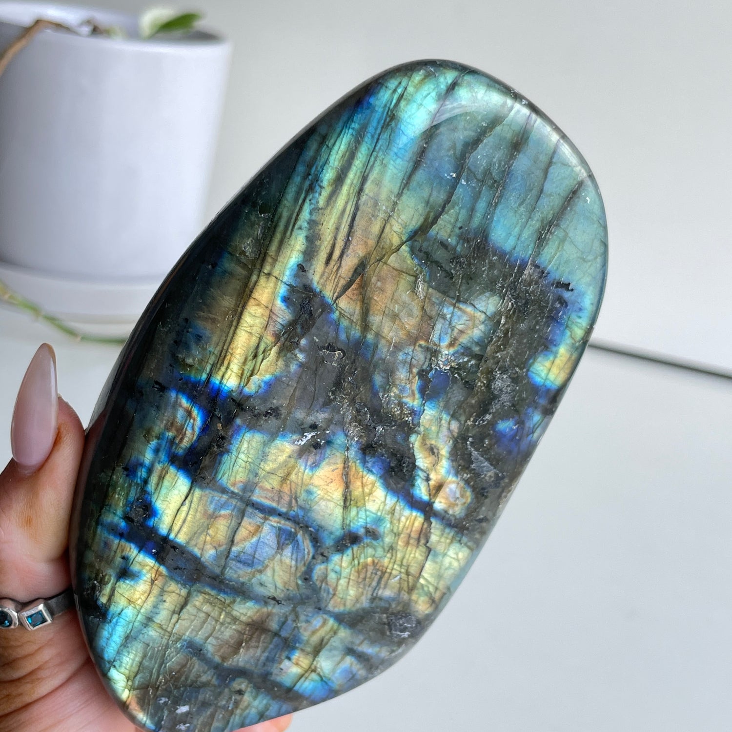 Labradorite Freeform 11.9cm