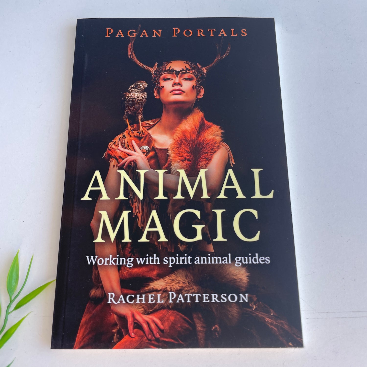 Pagan Portals Animal Magic Rachel Patterson