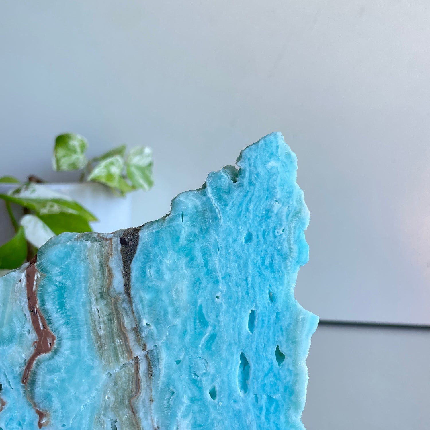 Aragonite Slice 314g