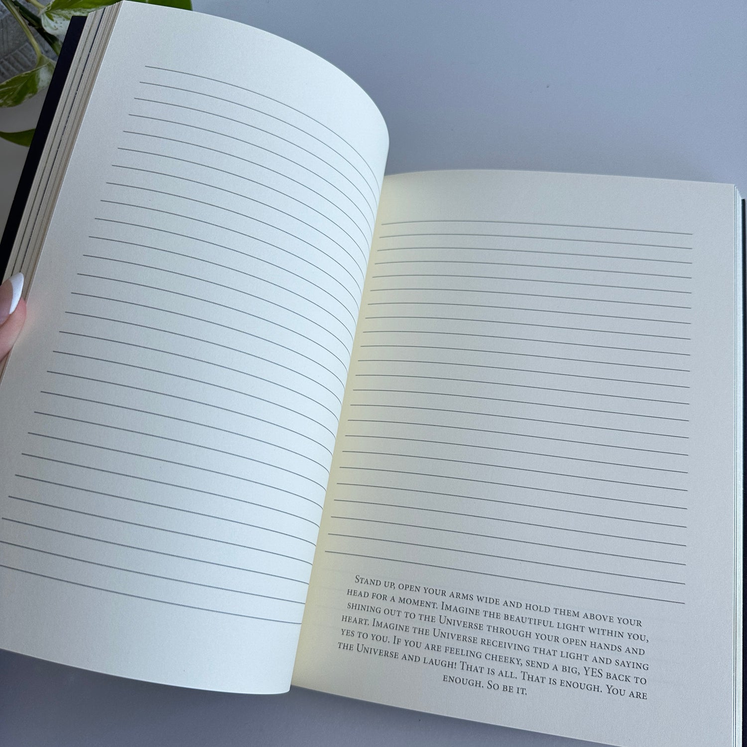 Sacred Rebels Journal