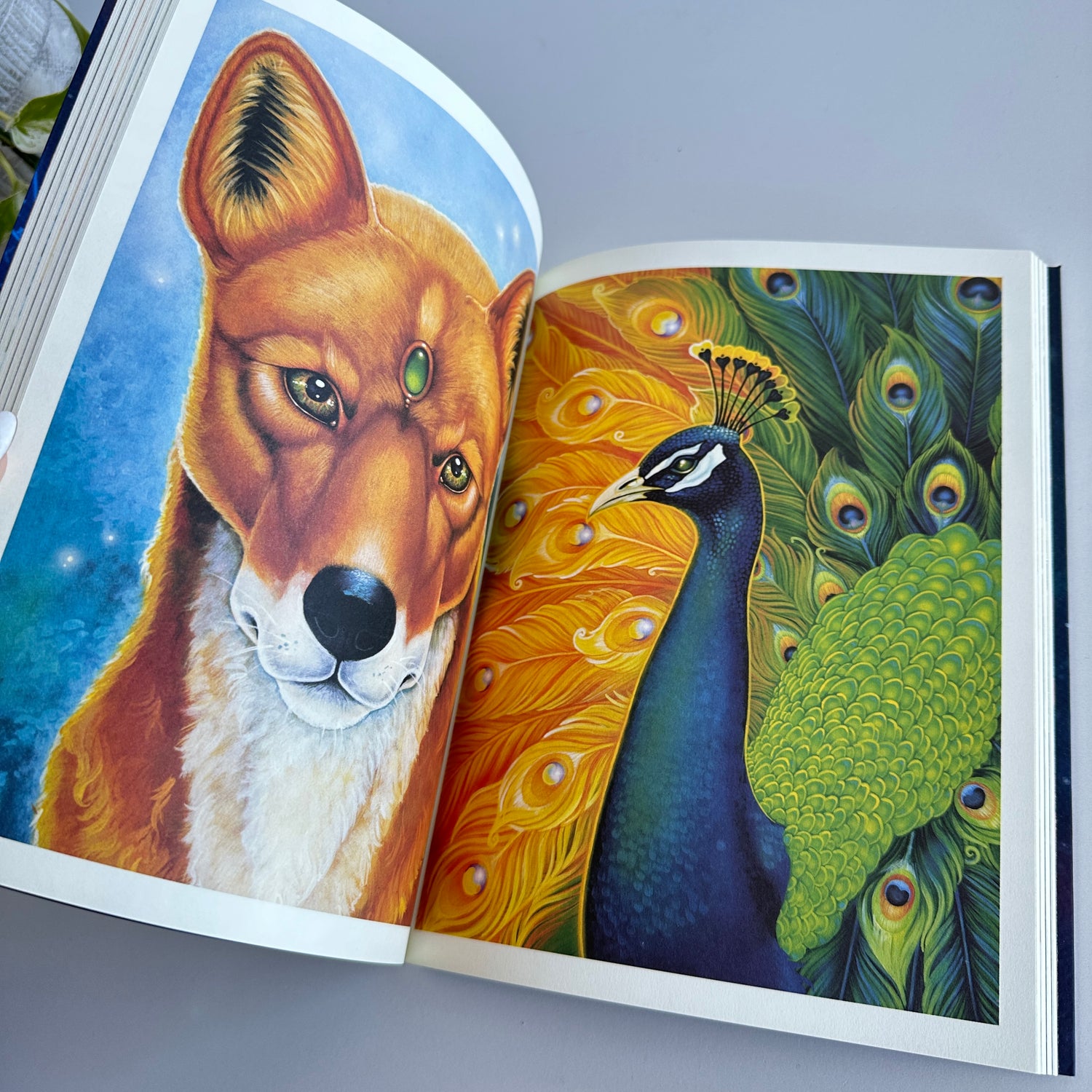 Seek Writing And Creativity Journal