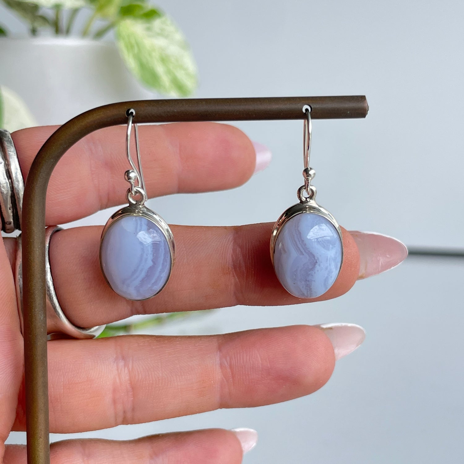 Blue Lace Agate Oval Earrings