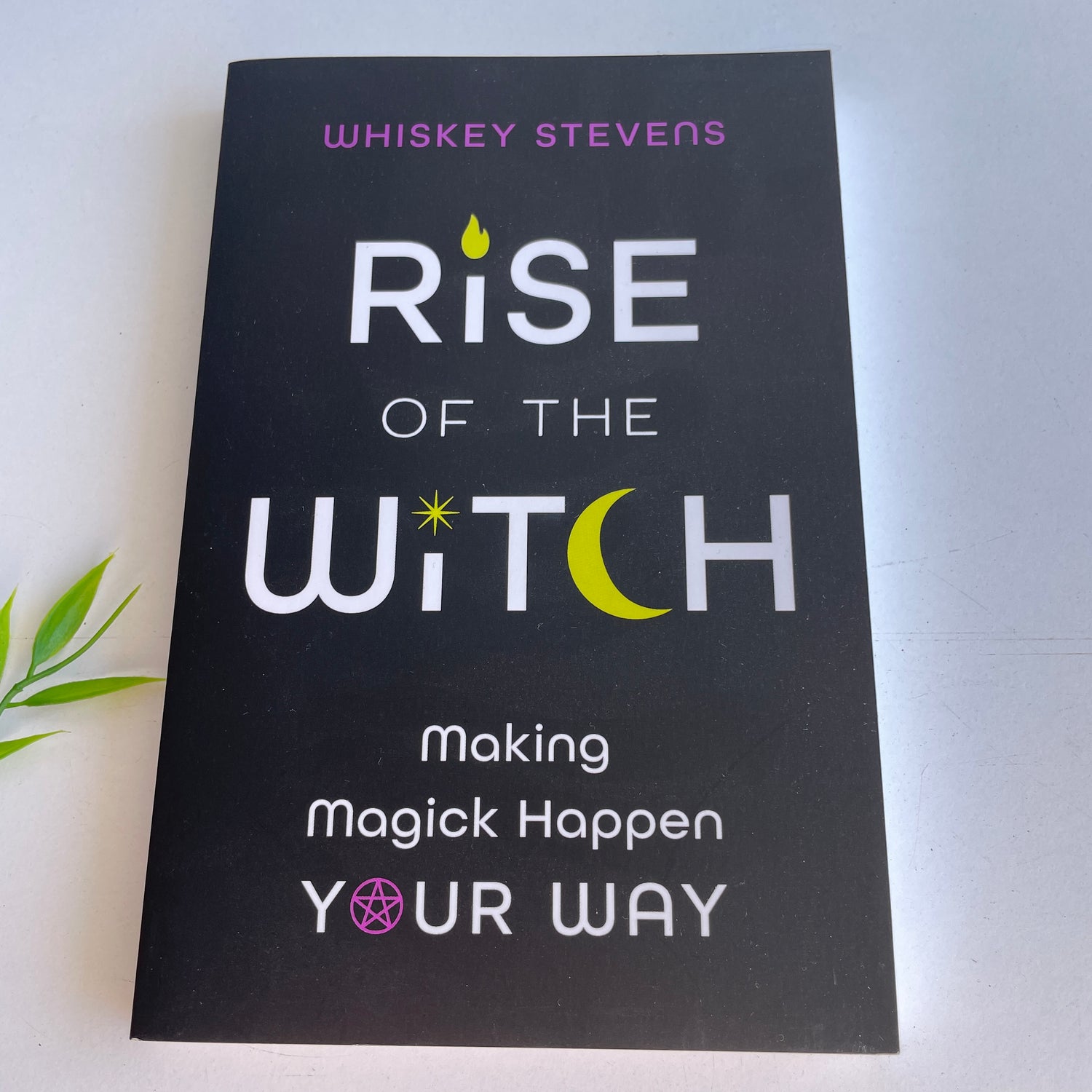 Rise Of The Witch Whiskey Stevens