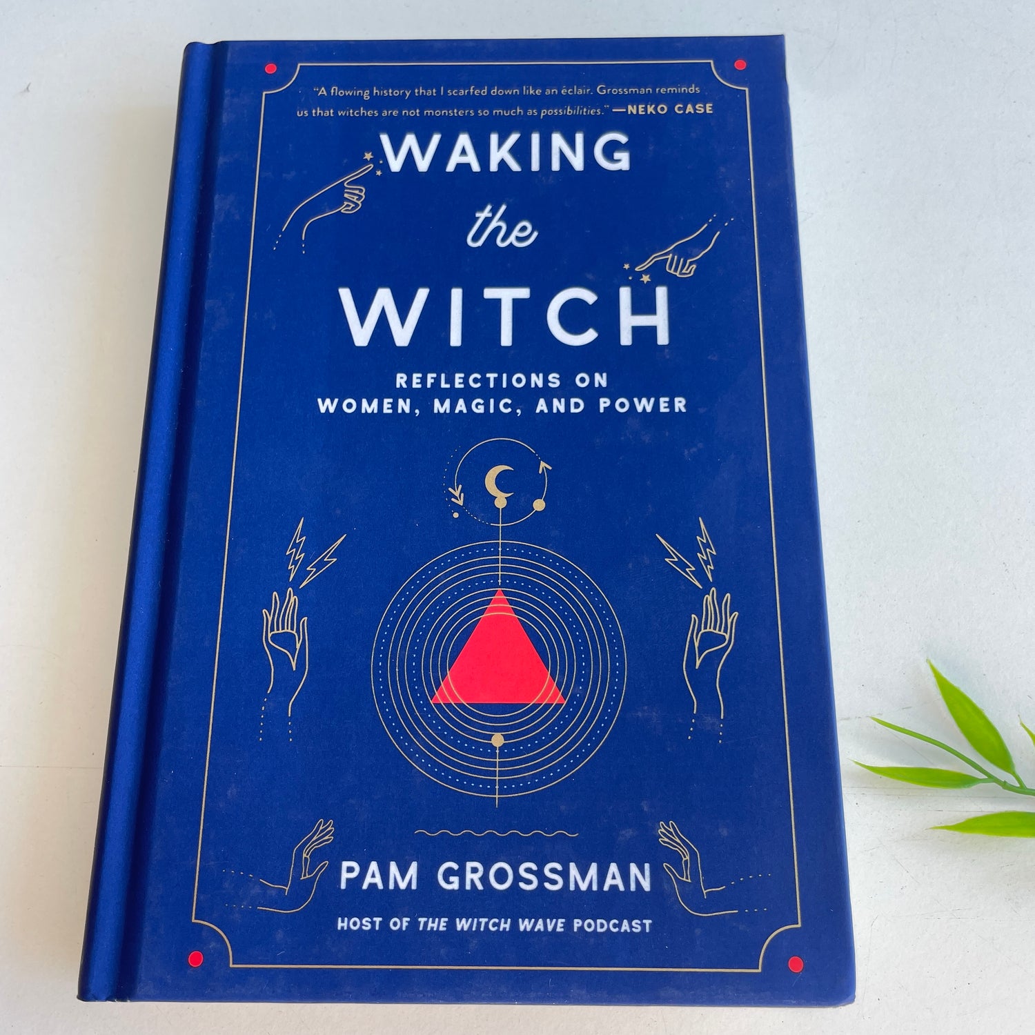 Waking The Witch Pam Grossman