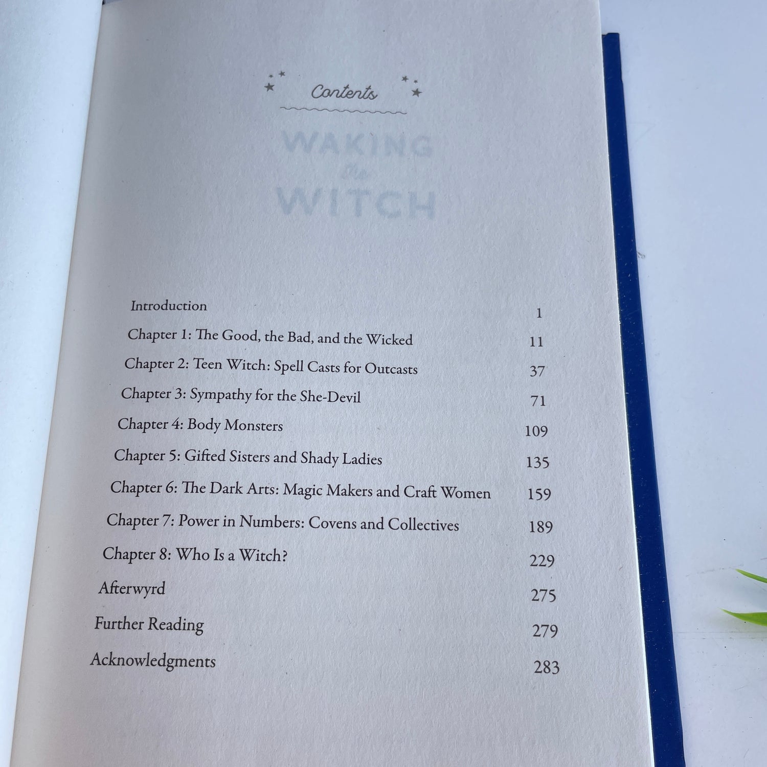 Waking The Witch Pam Grossman