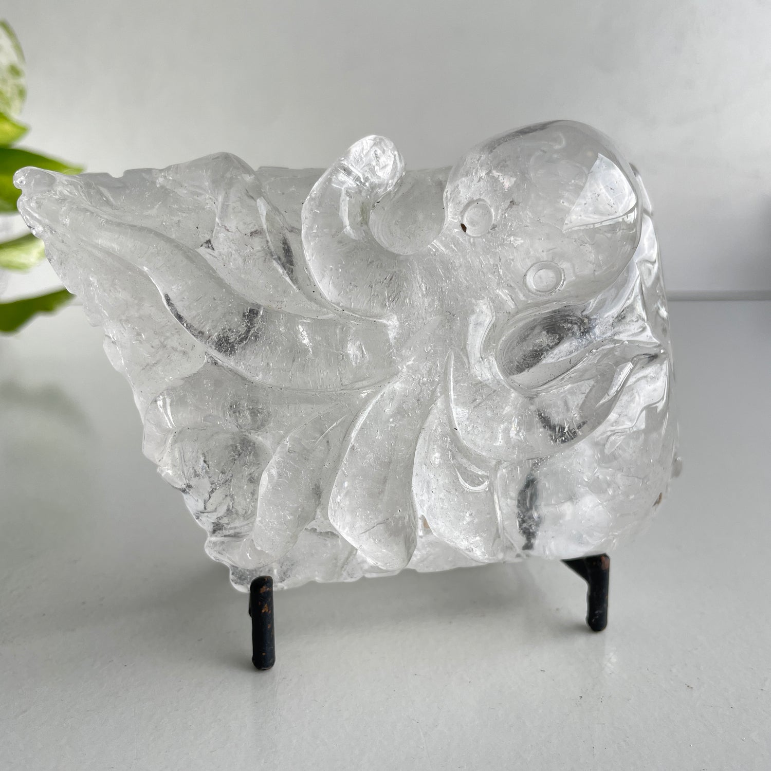 Clear Quartz Octopus