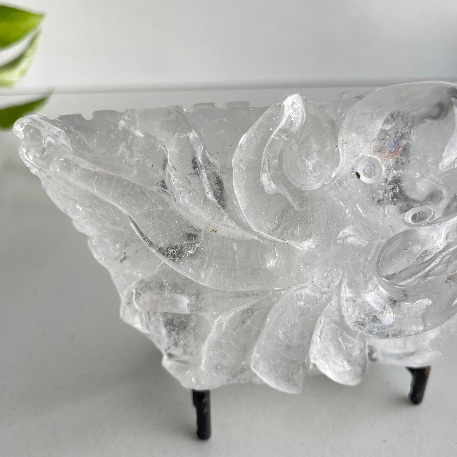 Clear Quartz Octopus
