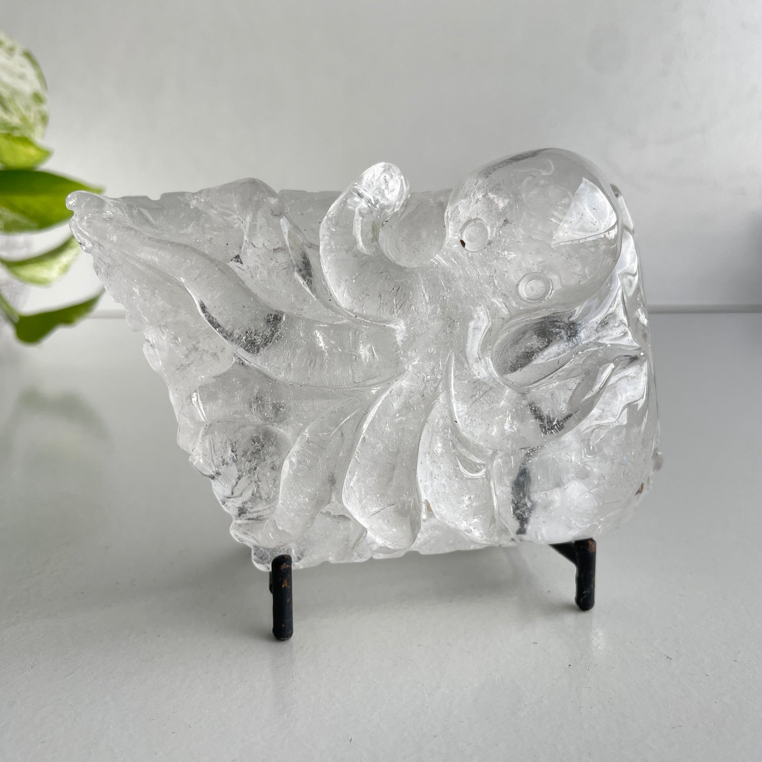 Clear Quartz Octopus