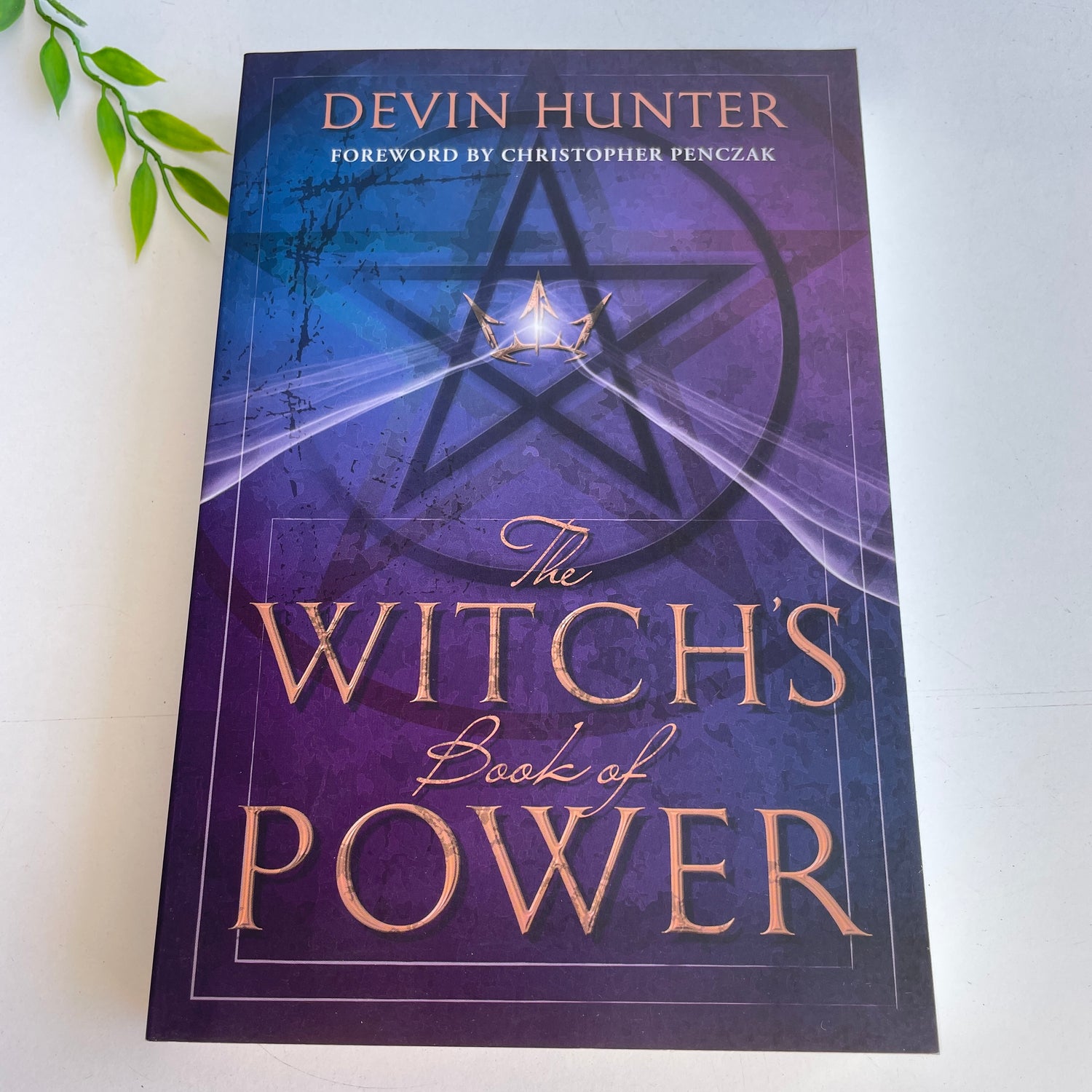 The Witchs Book Of Power Devin Hunter