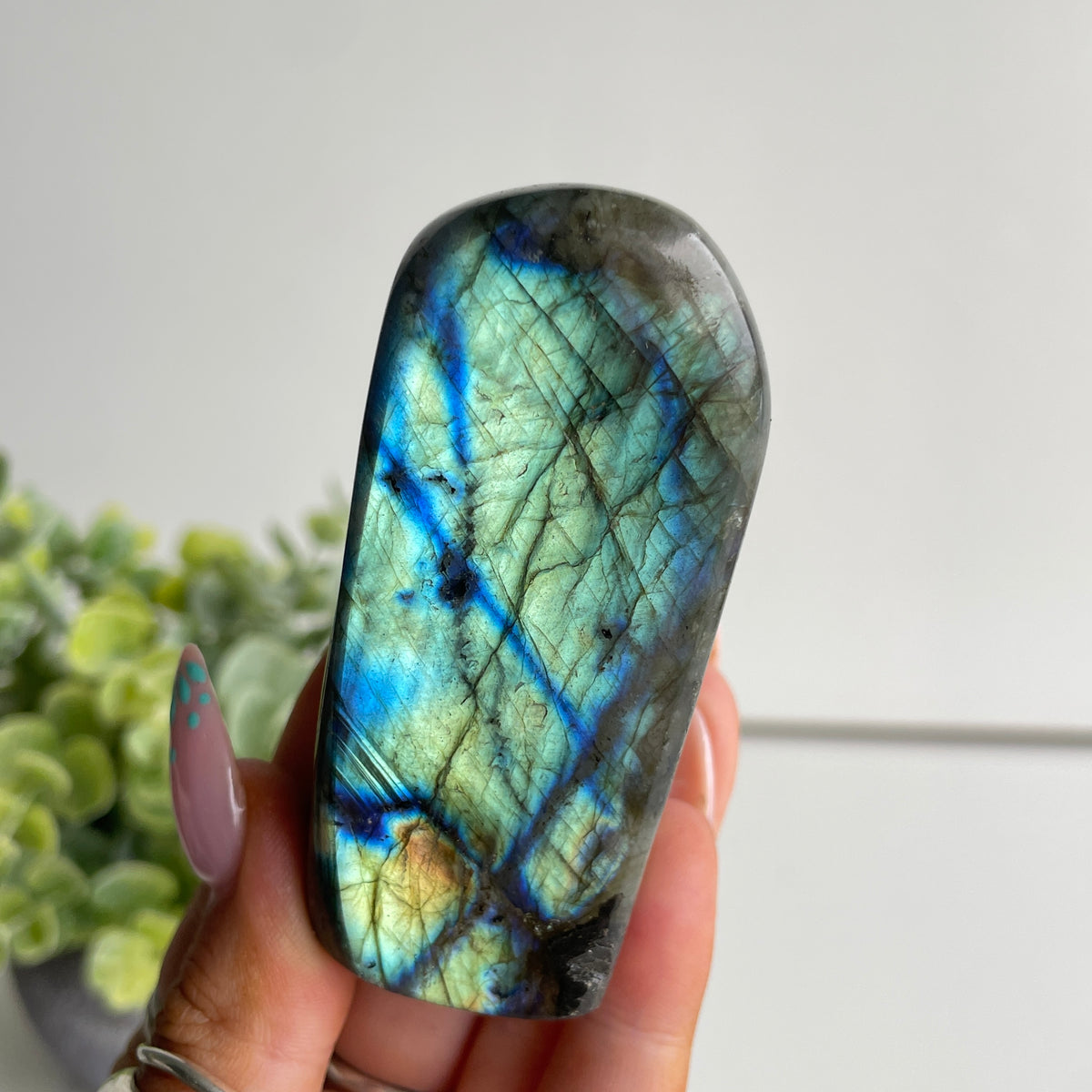 Labradorite Freeform 140g