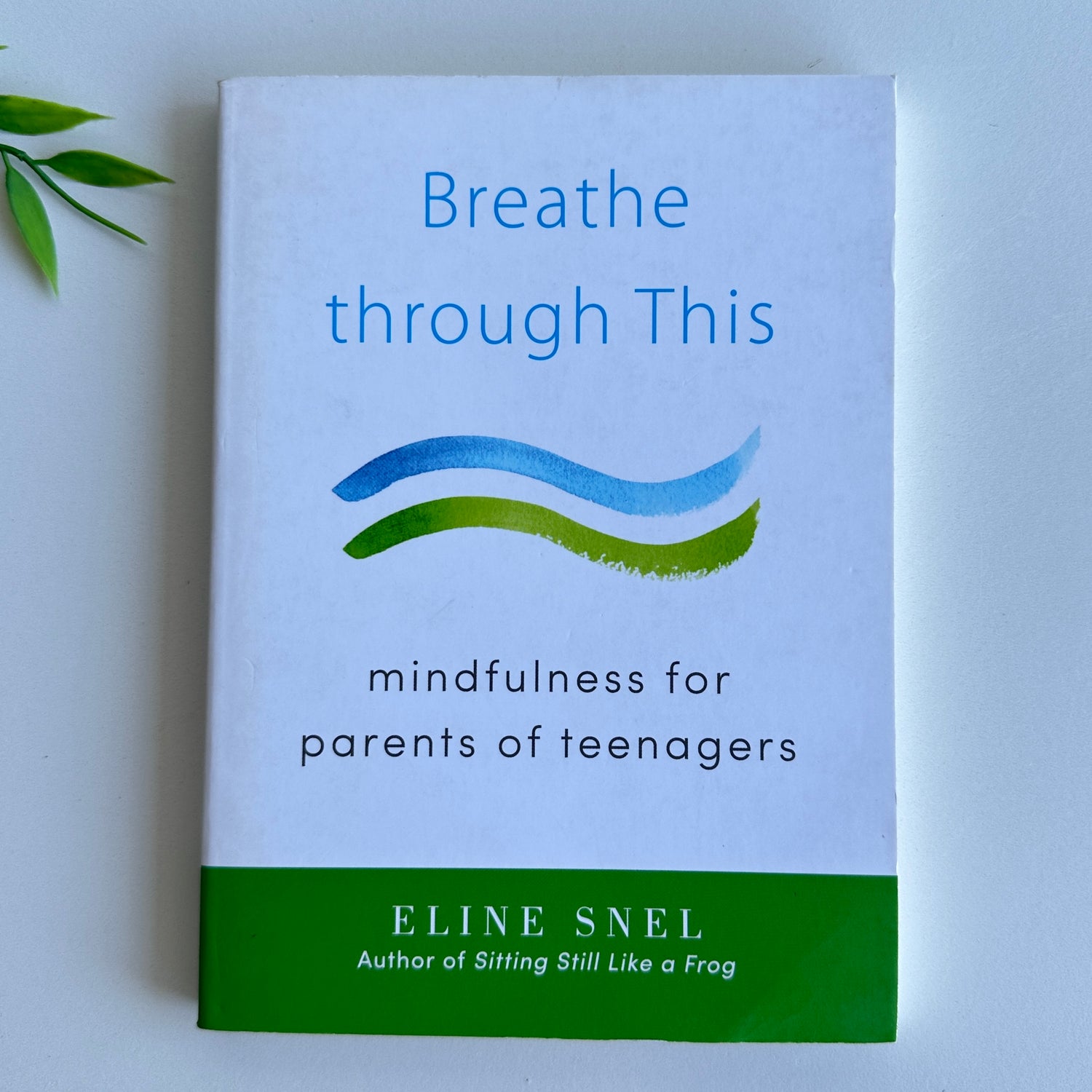 E. Snel Breathe Through This