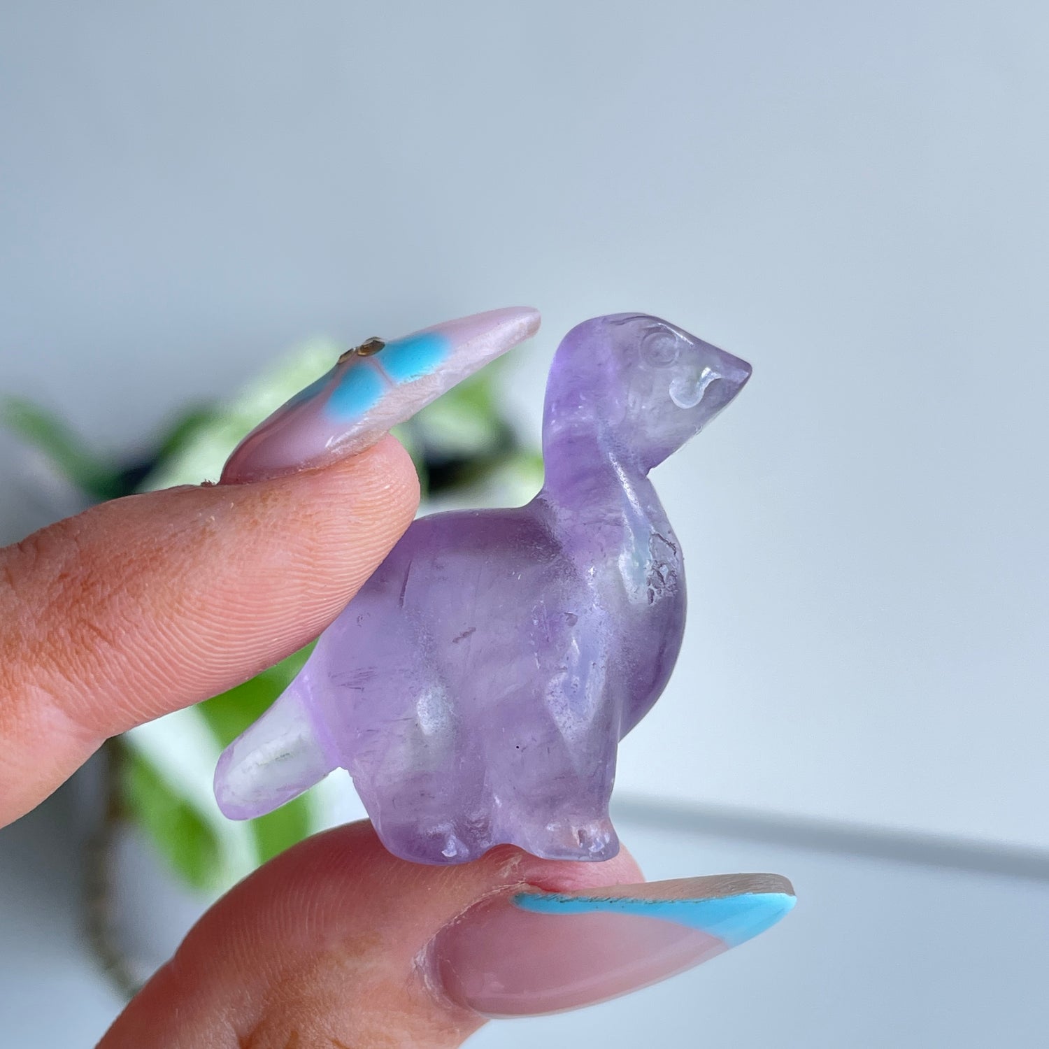 Crystal Dino Long Neck Assorted