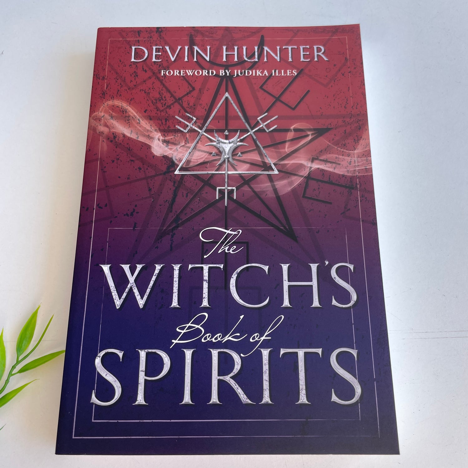 The Witch's Book Of Spirits Devin Hunter