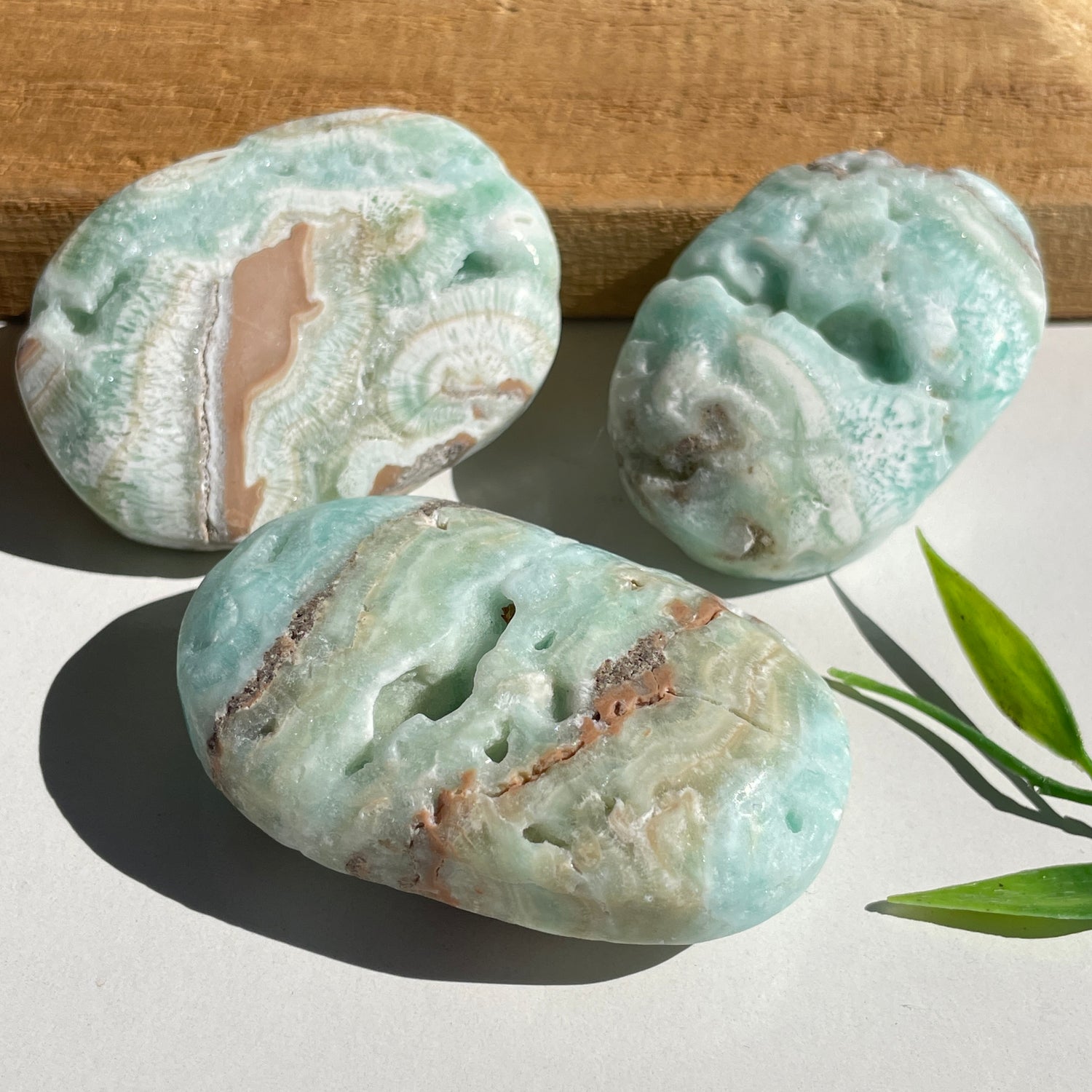 Aragonite Palmstone Sml