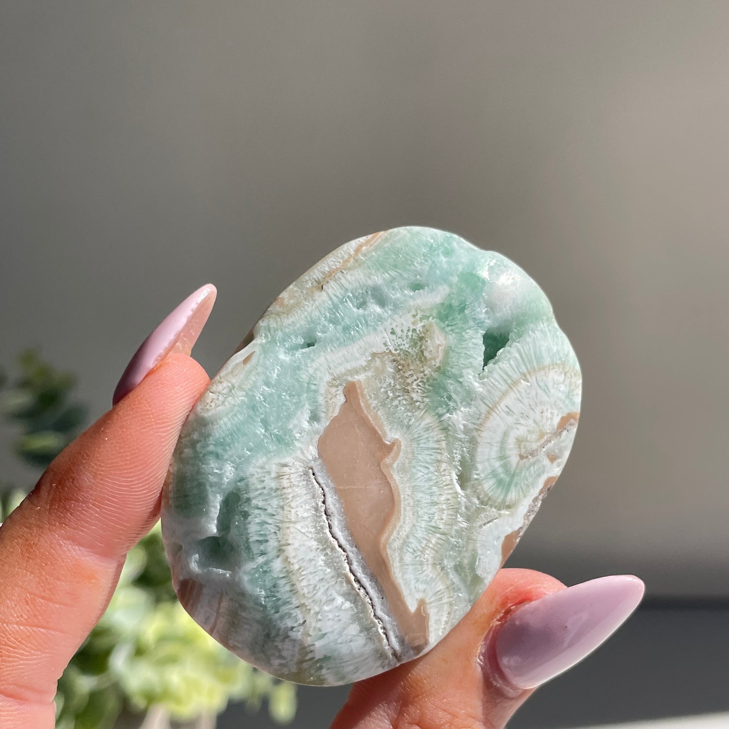 Aragonite Palmstone Sml