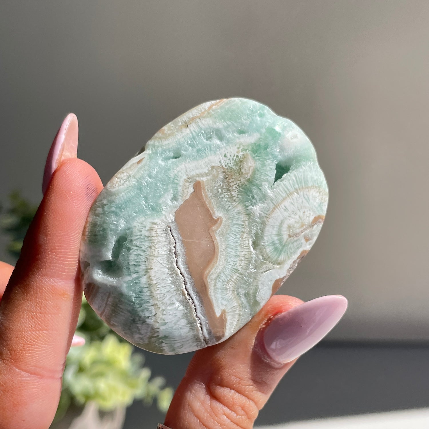 Aragonite Palmstone Sml