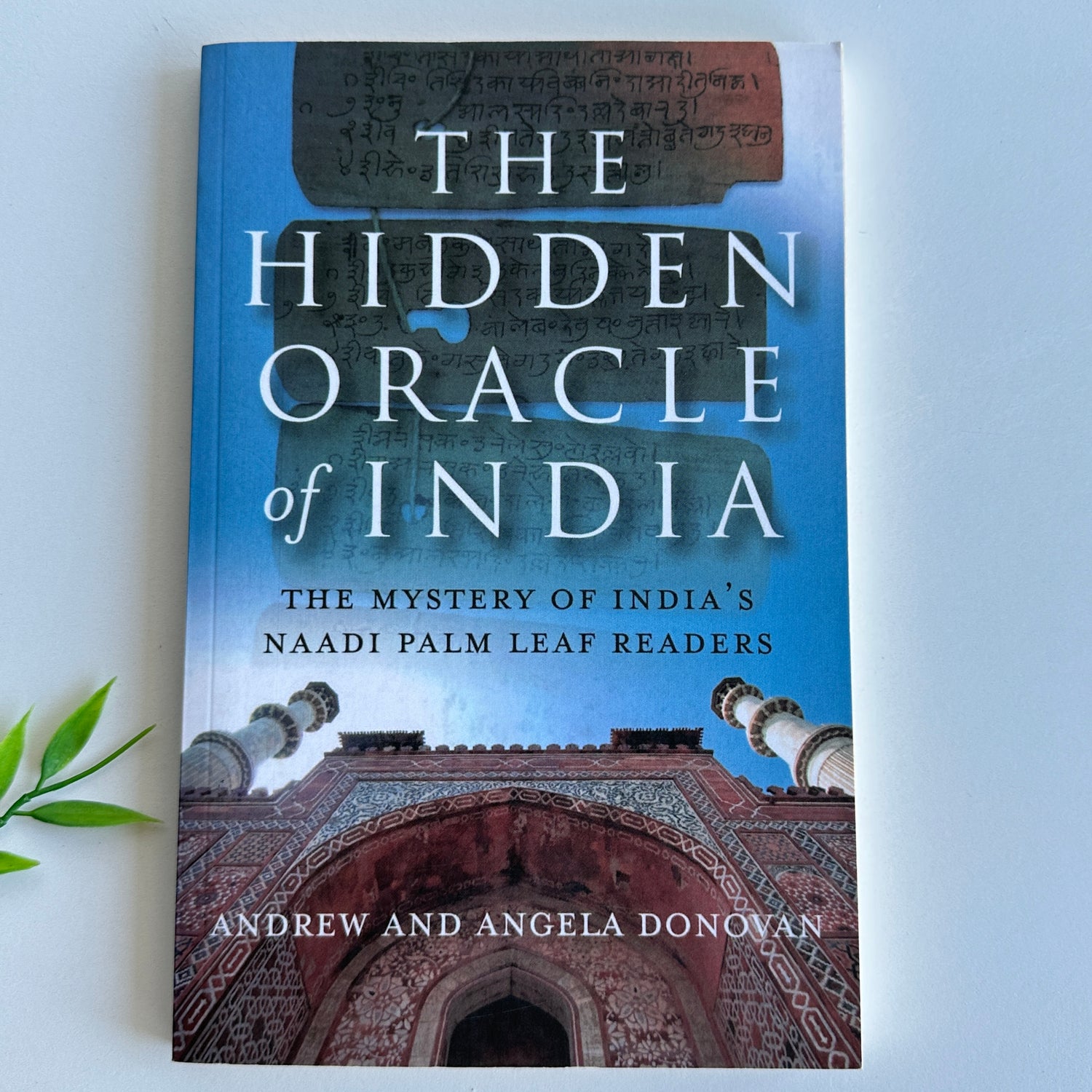 The Hidden Oracle of India Andrew Donovan