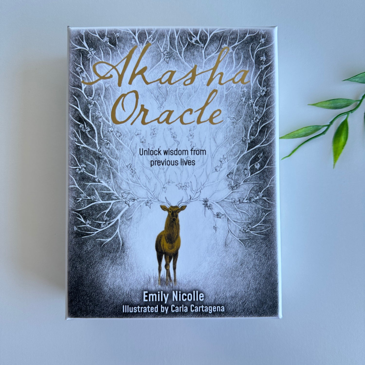 Akasha Oracle Emily Nicolle