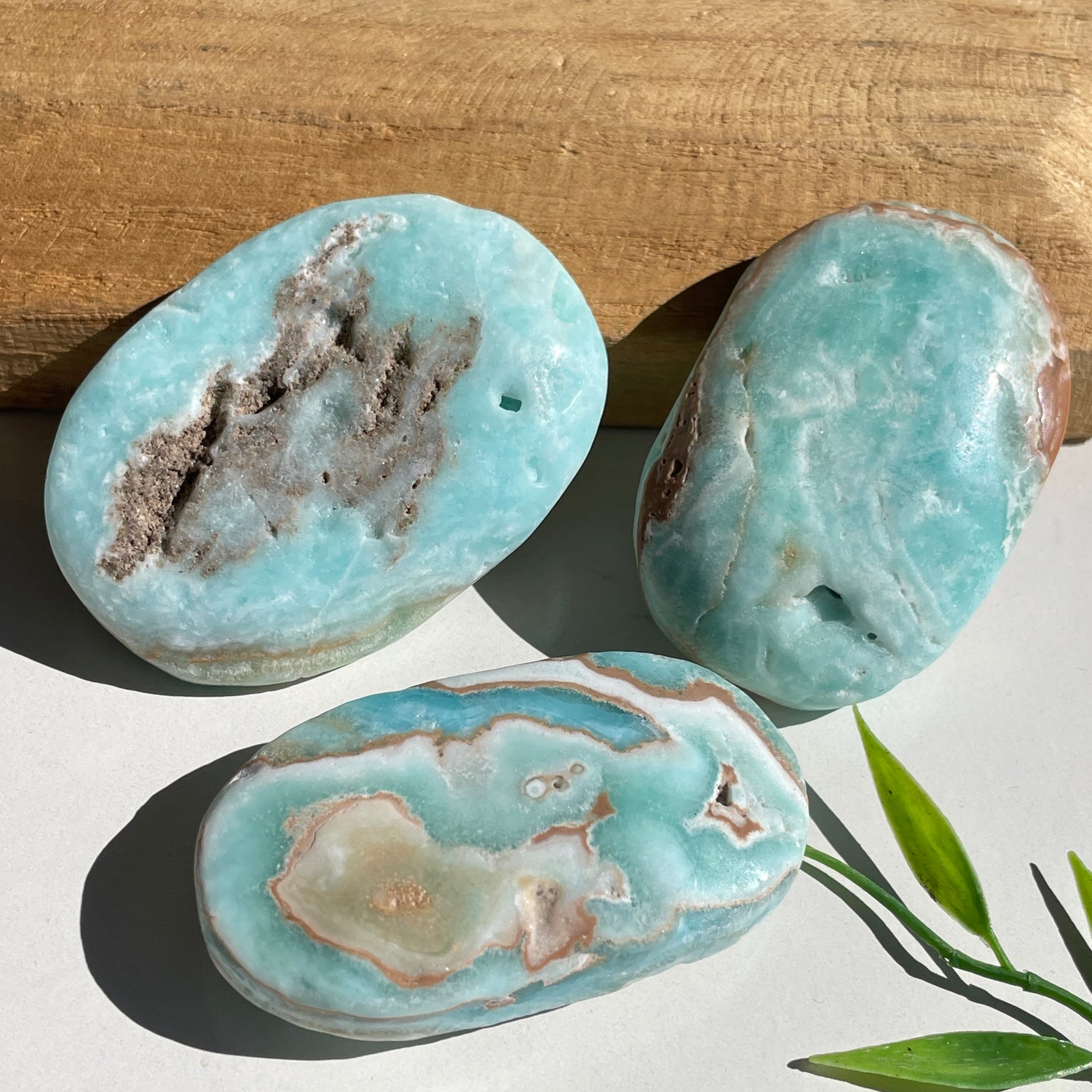 Aragonite Palmstone Med