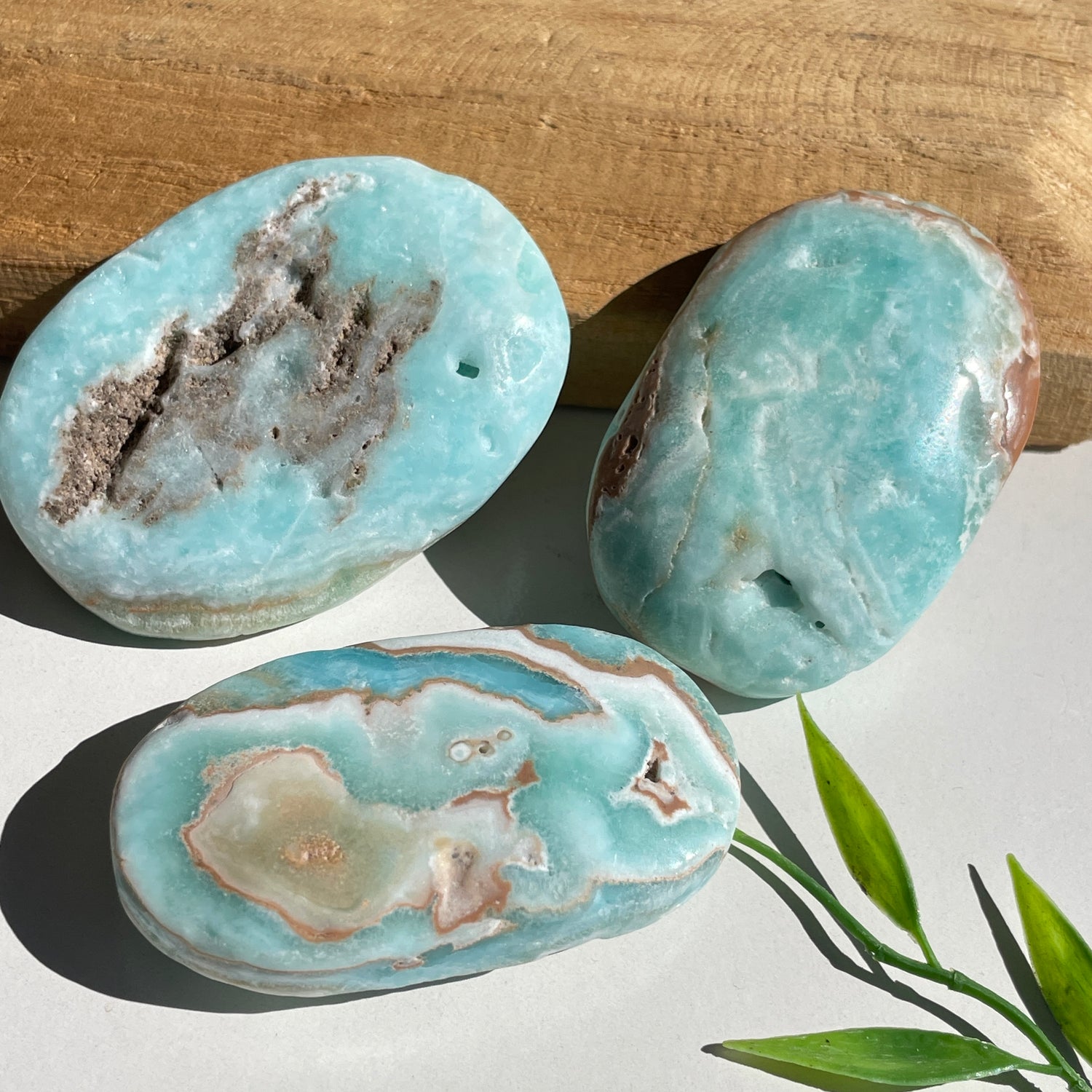 Aragonite Palmstone Med