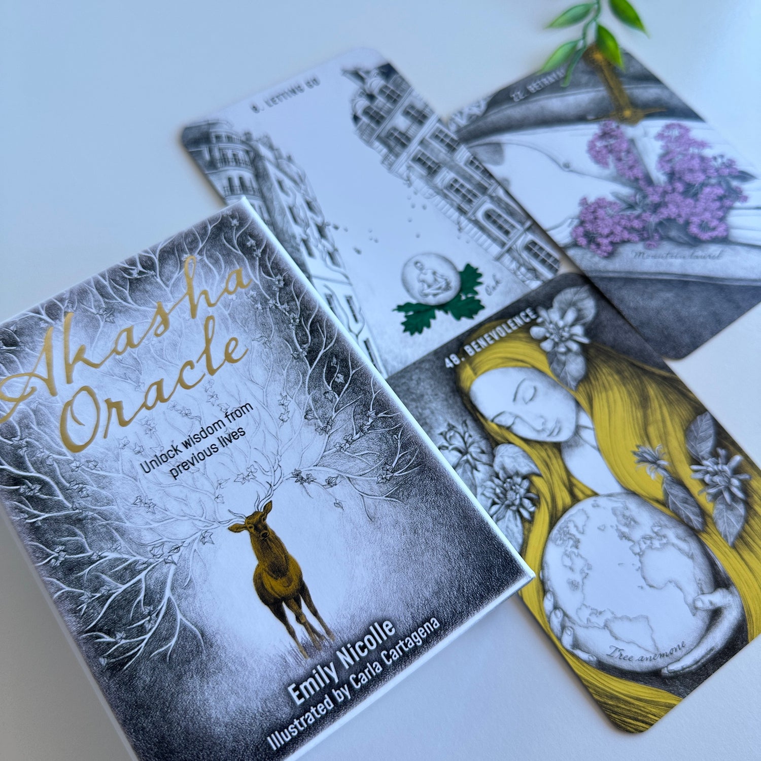 Akasha Oracle Emily Nicolle