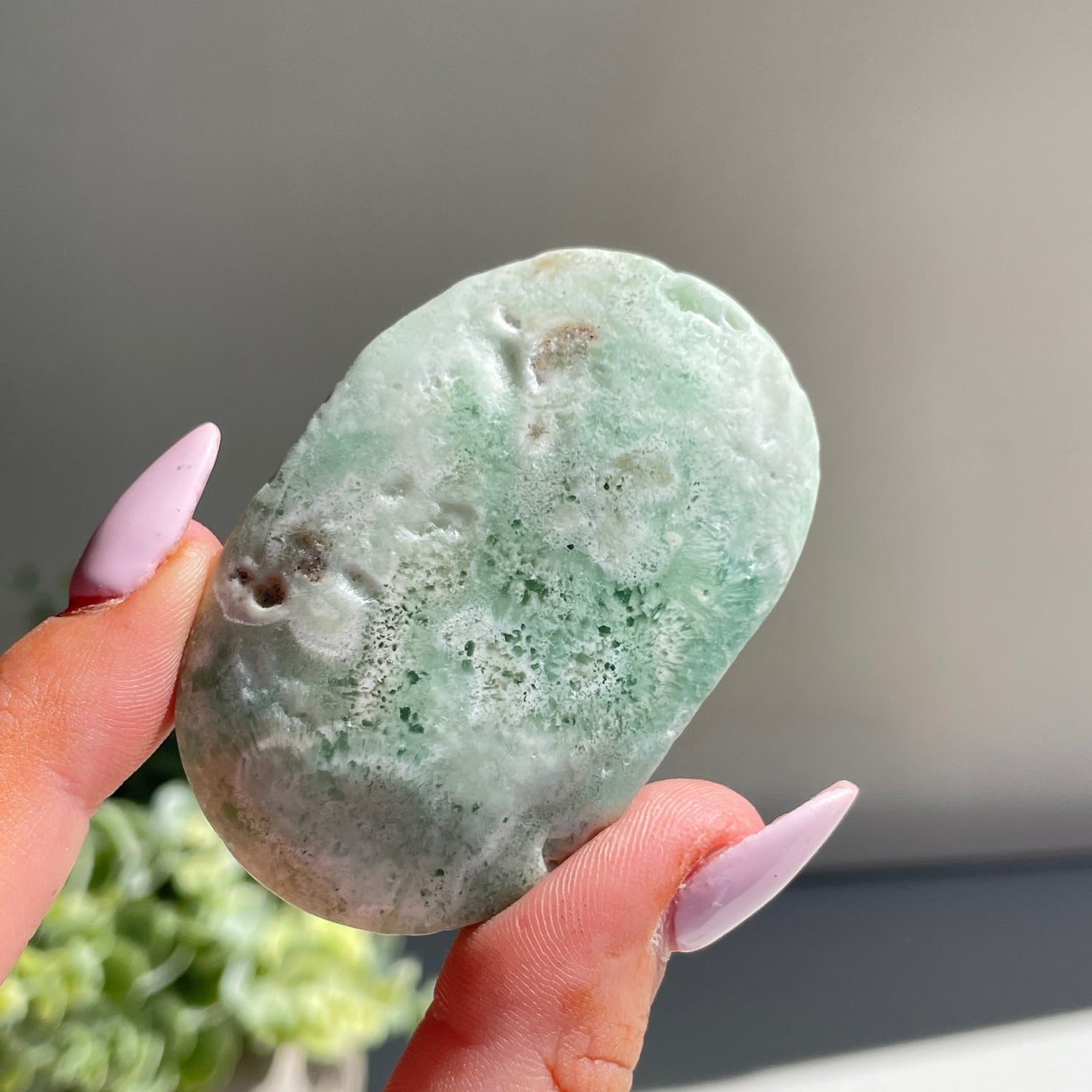 Aragonite Palmstone Med