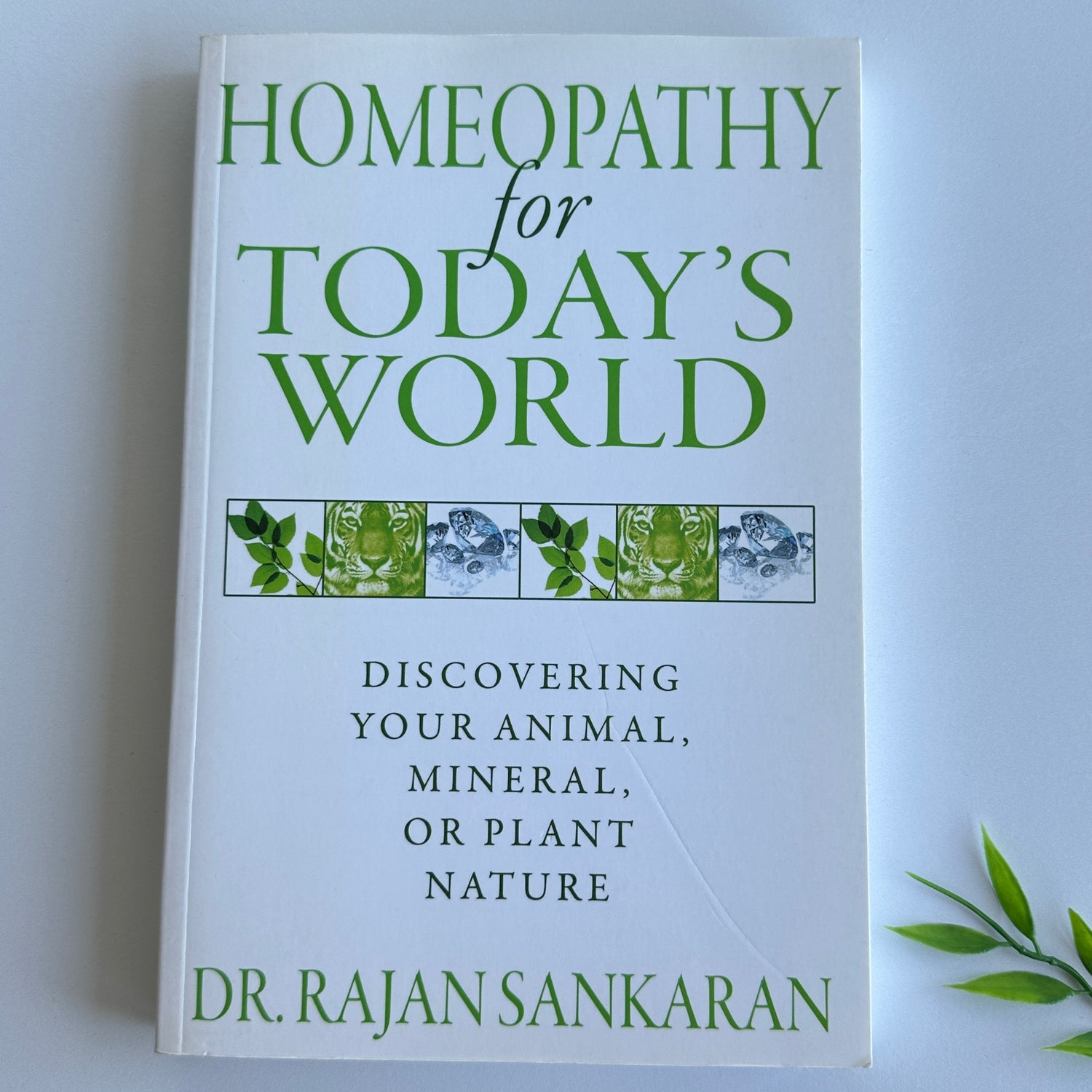 Homeopathy for Todays World