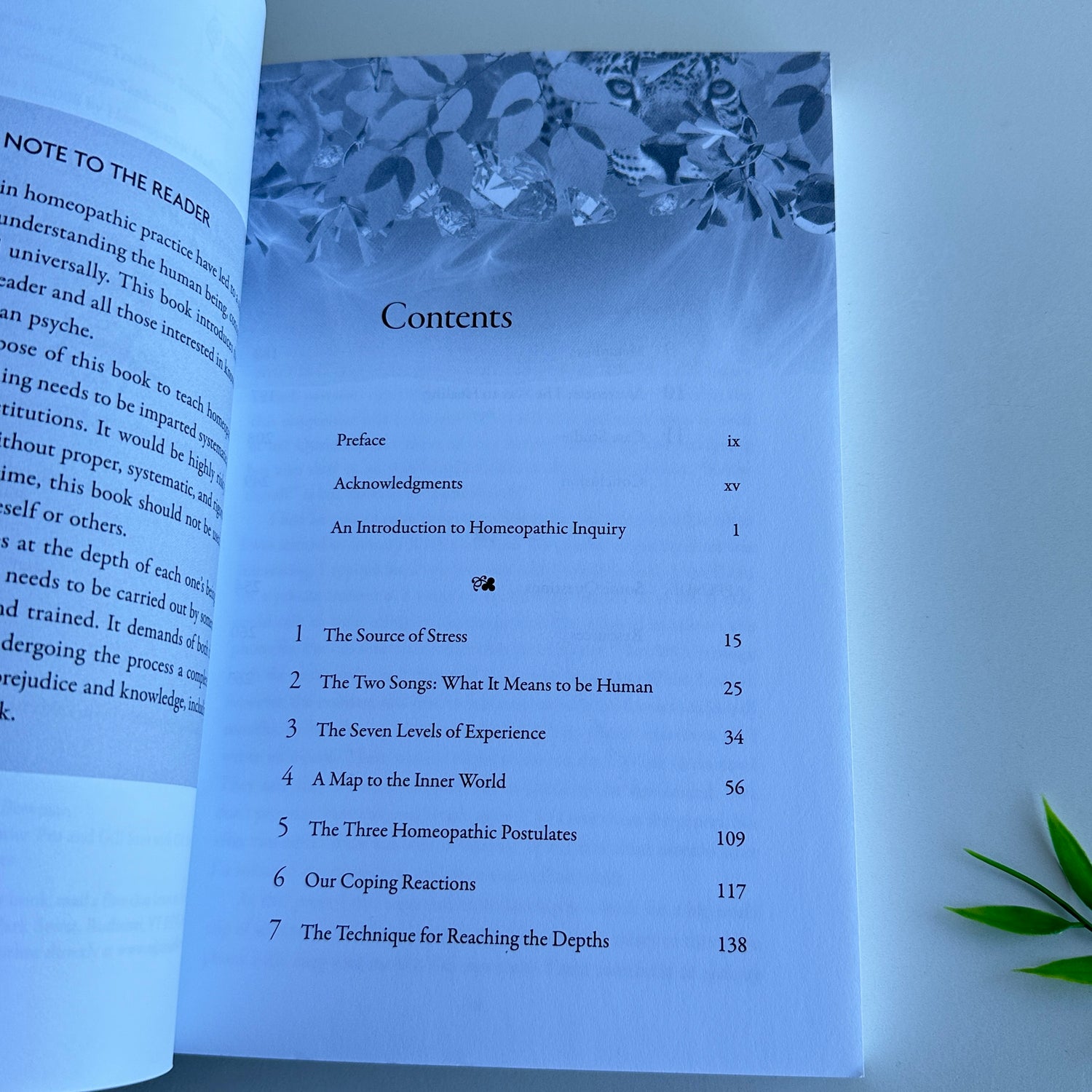 Homeopathy for Todays World