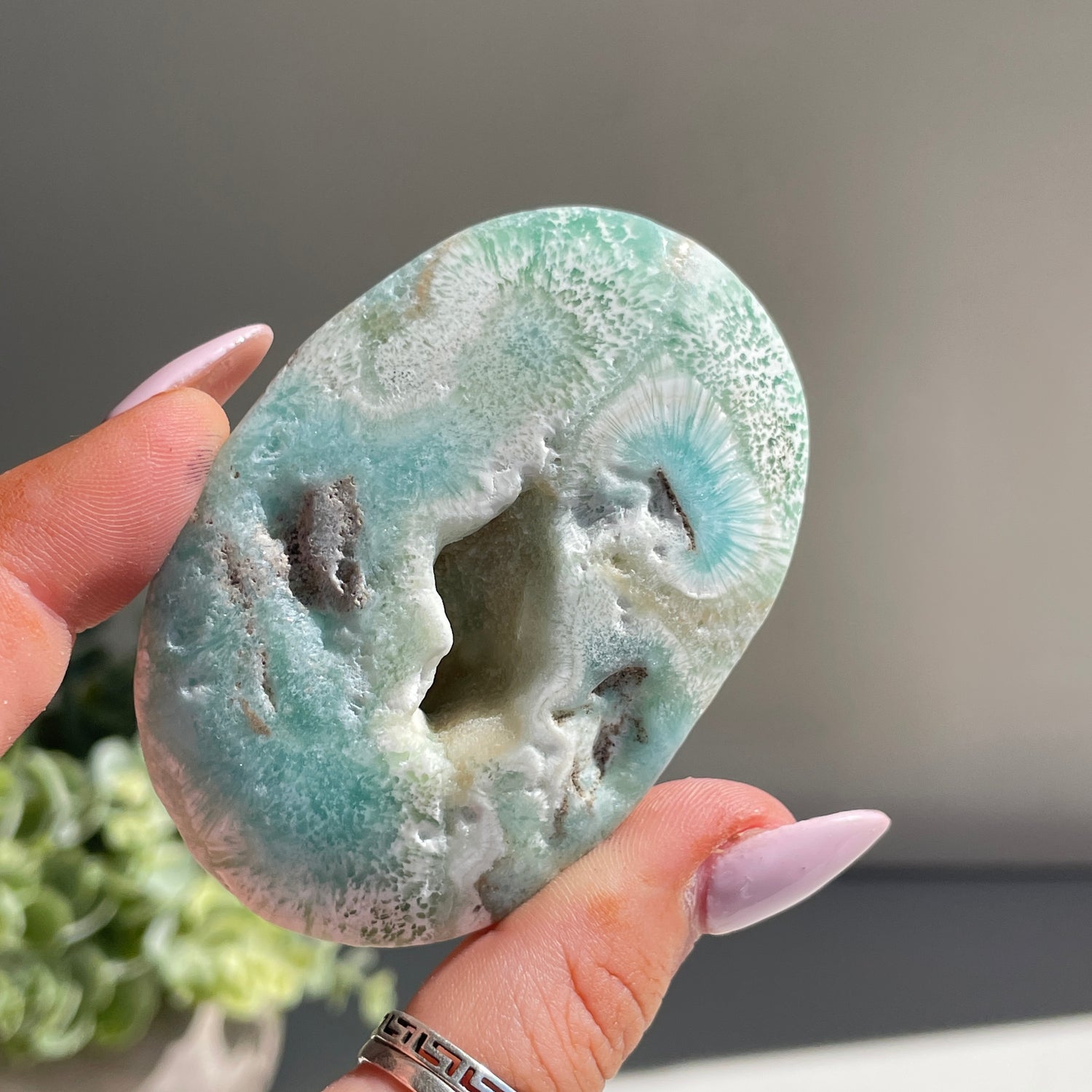 Aragonite Palmstone Lge