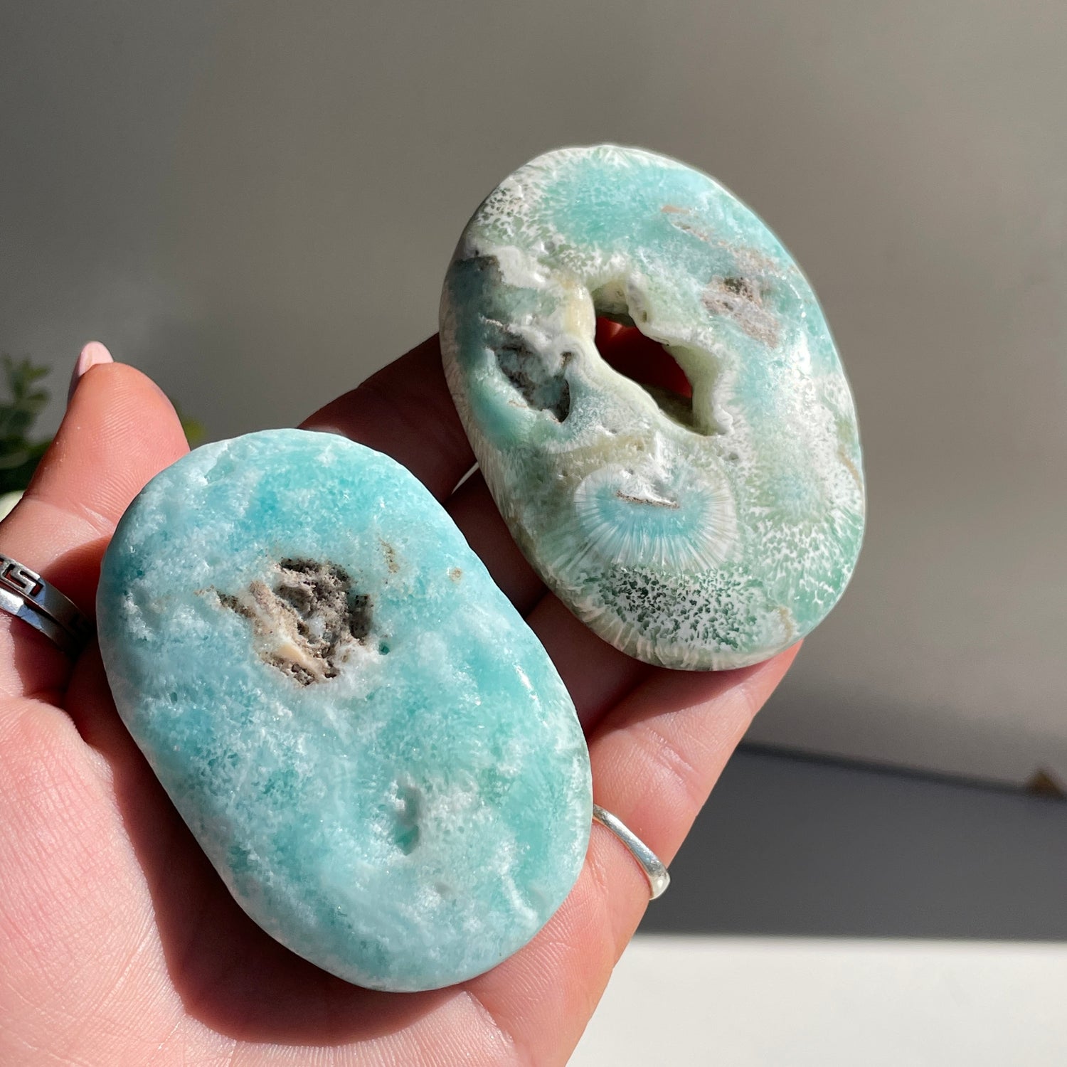 Aragonite Palmstone Lge
