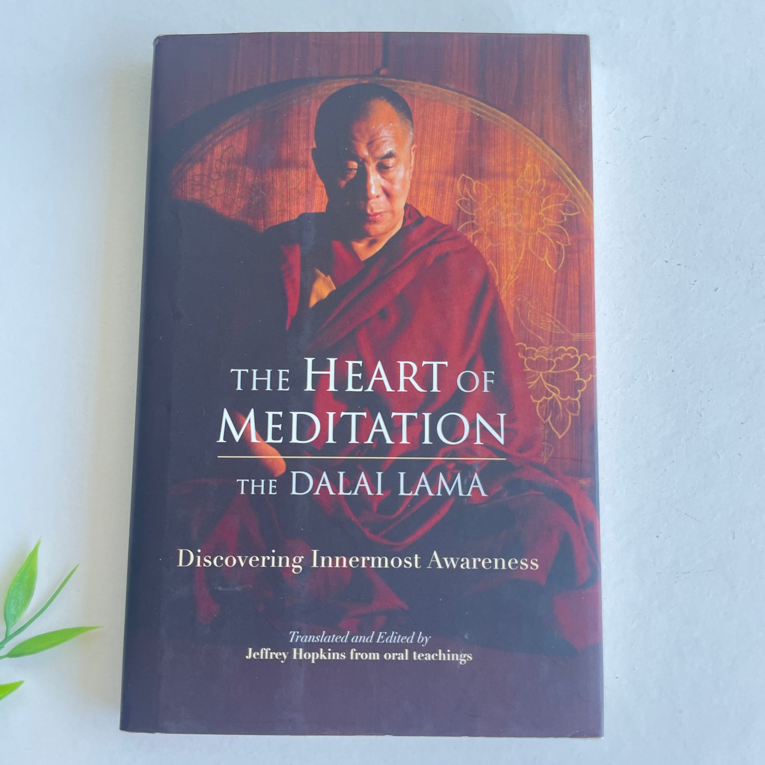 Dalai Lama The Heart of Meditation