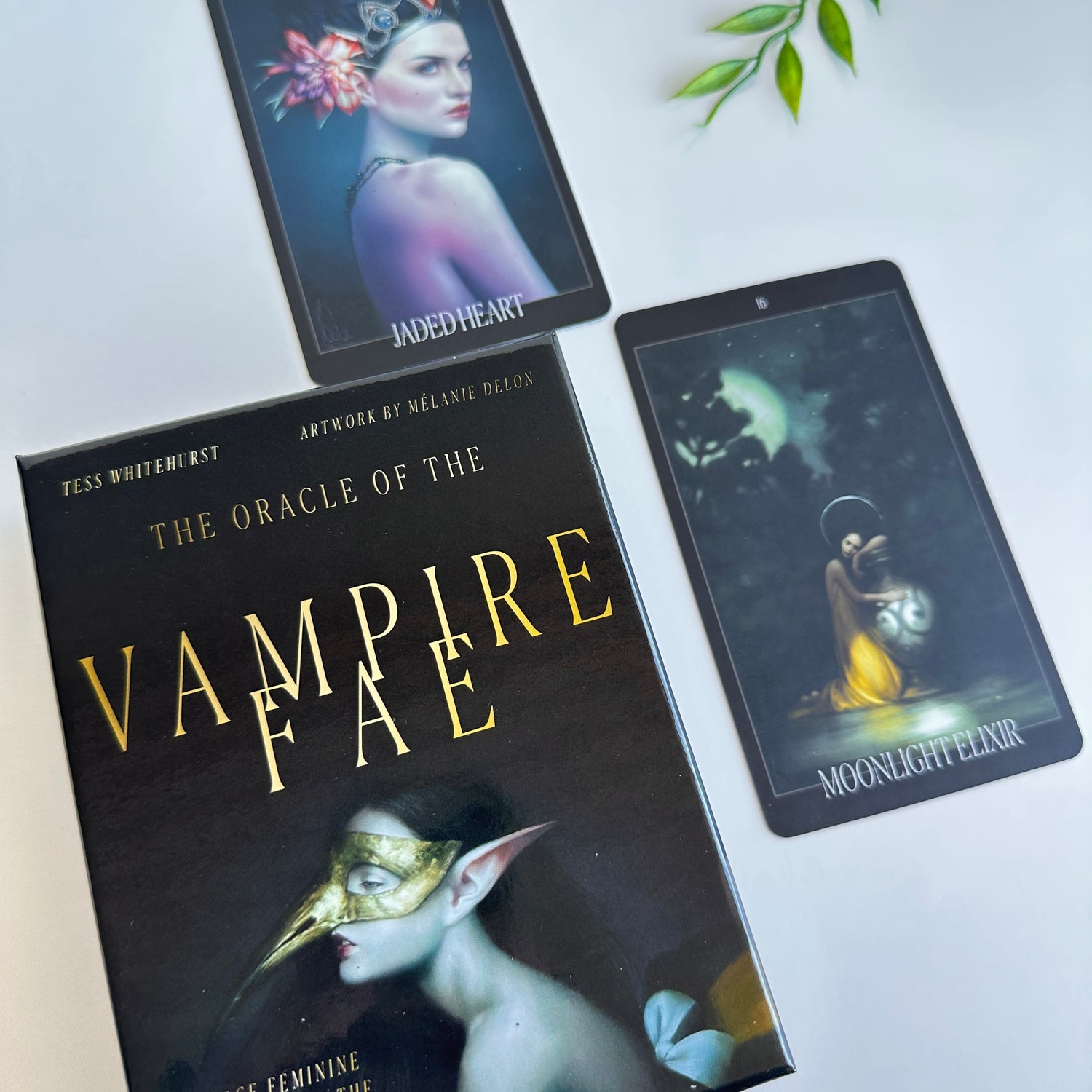 The Oracle of The Vampire Fae Jess Whitehurst