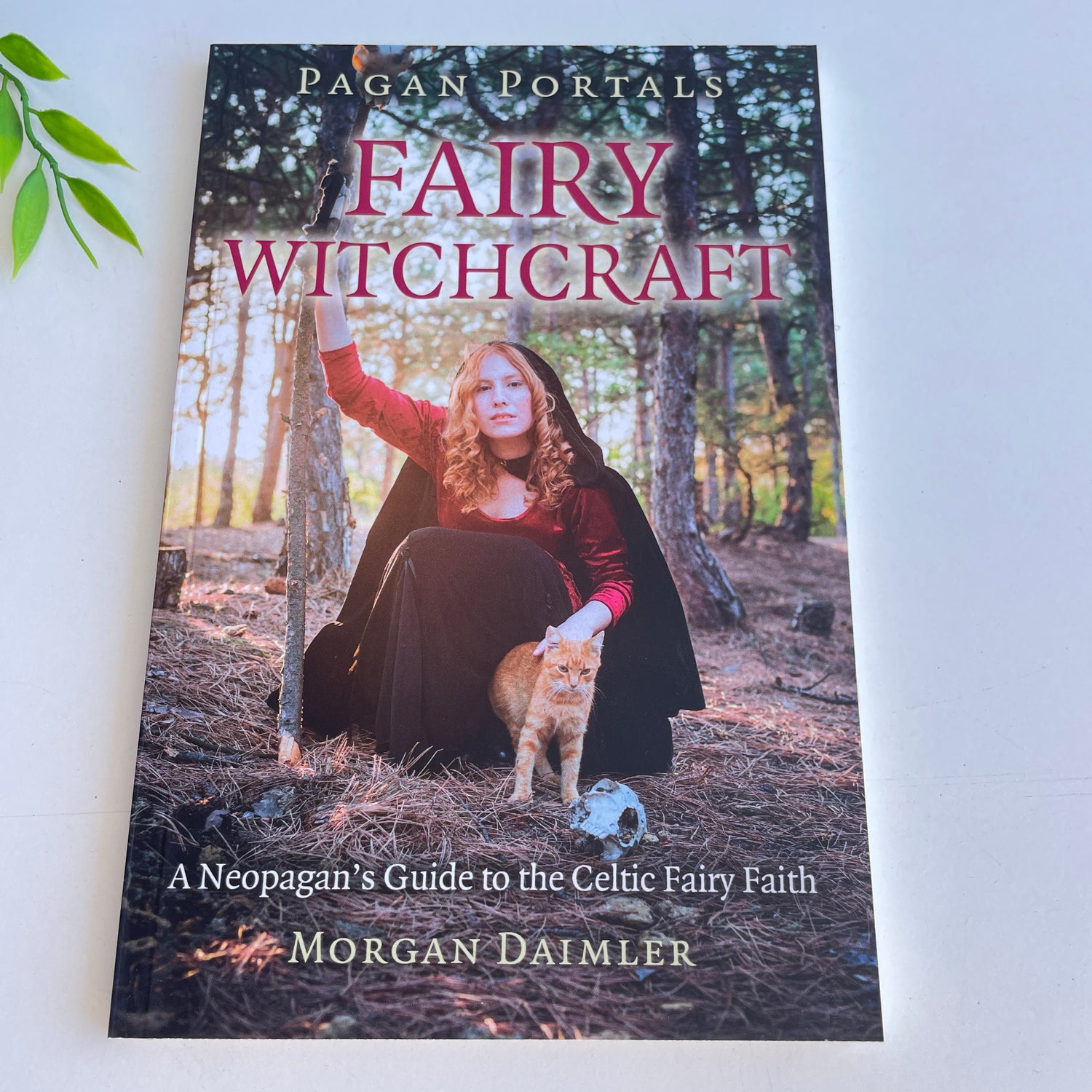 Pagan Portals Fairy Witchcraft Morgan Daimler