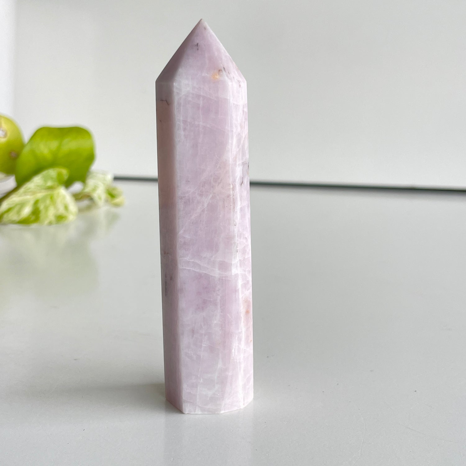 Kunzite Generator 10.6cm