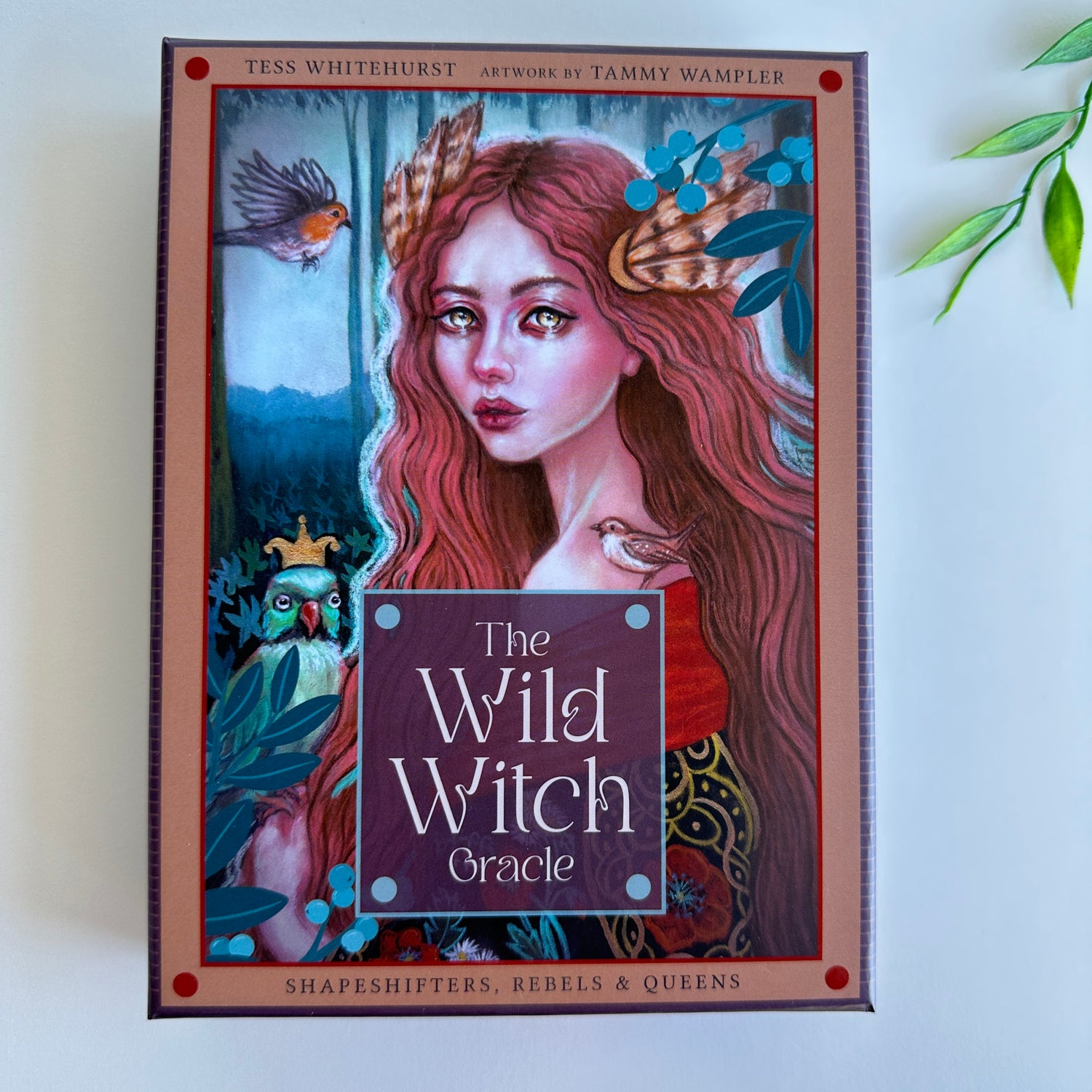 The Wild Witch Oracle Tess Whitehurst