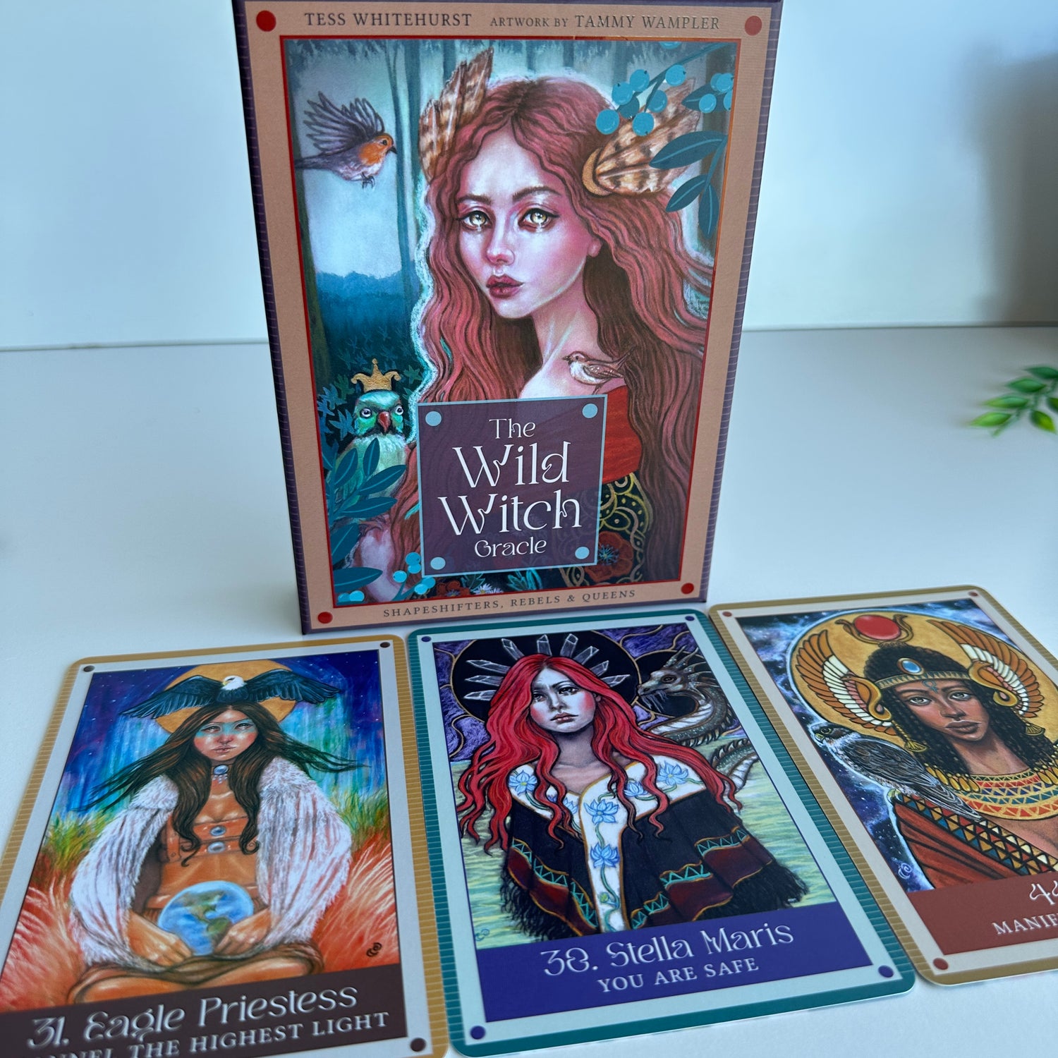The Wild Witch Oracle Tess Whitehurst