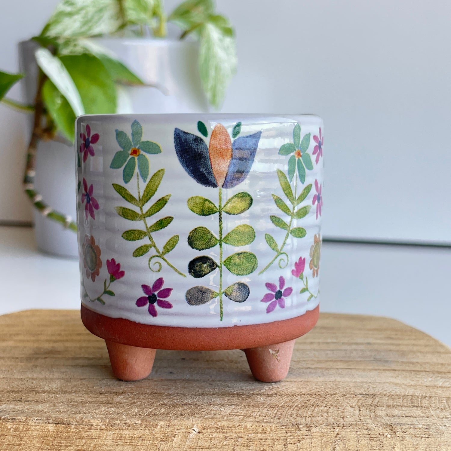 Flower Planter plnt000022