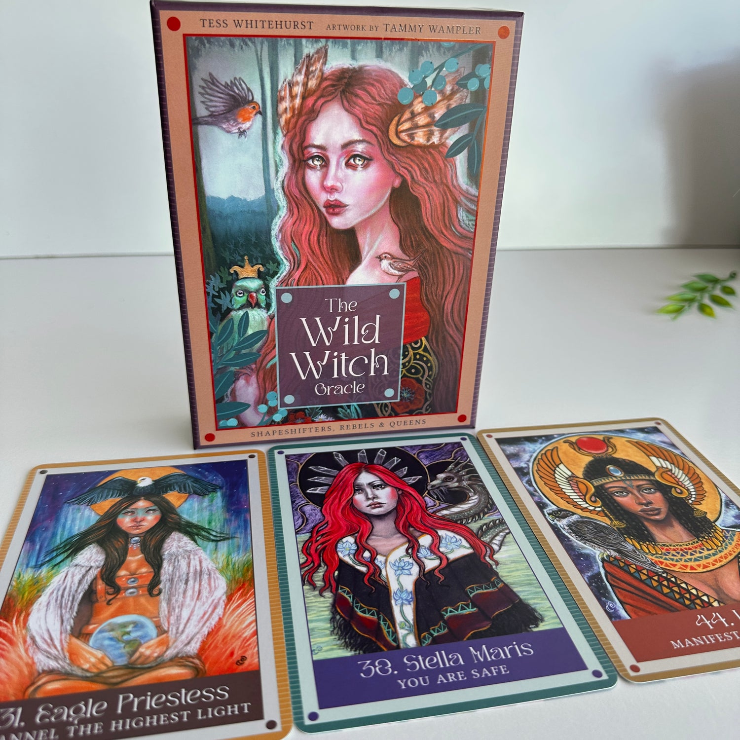 The Wild Witch Oracle Tess Whitehurst