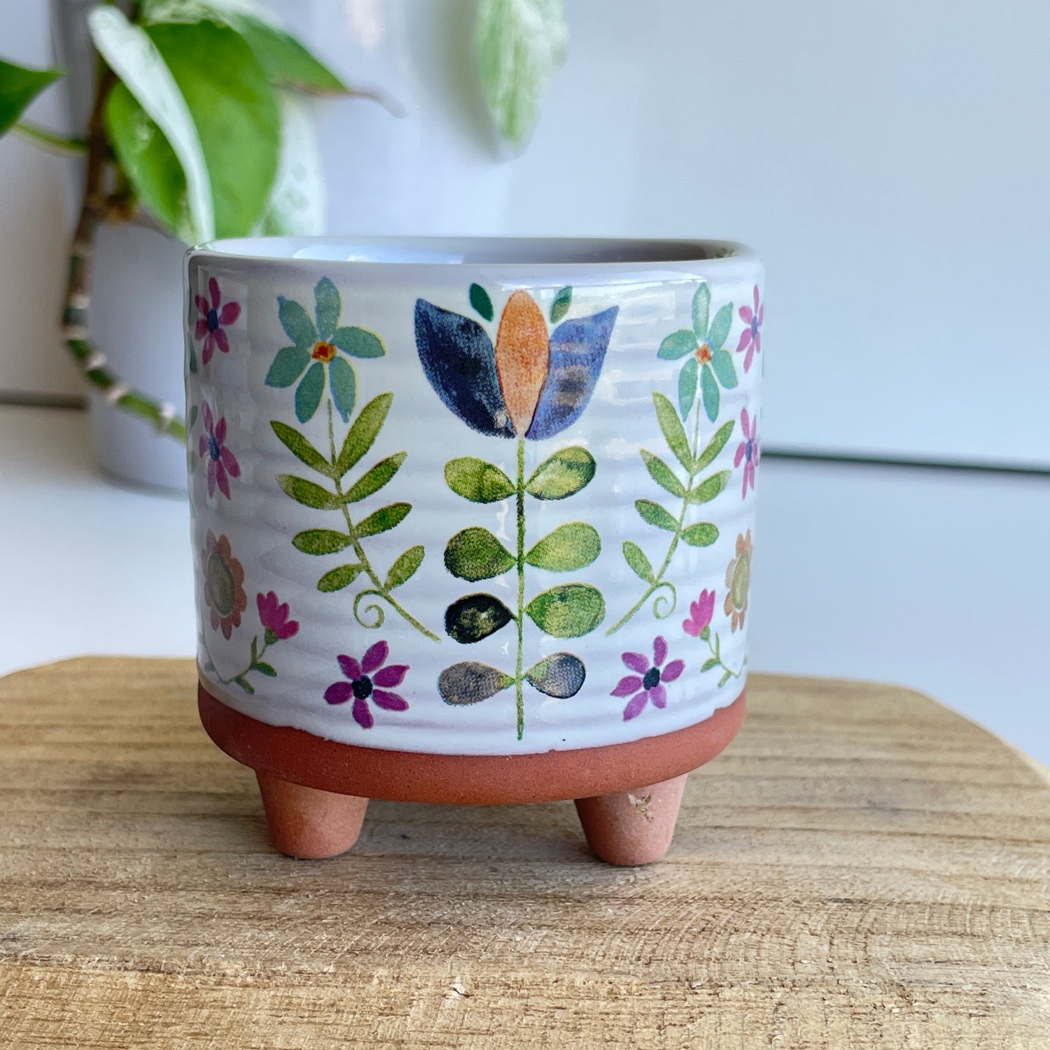 Flower Planter plnt000022