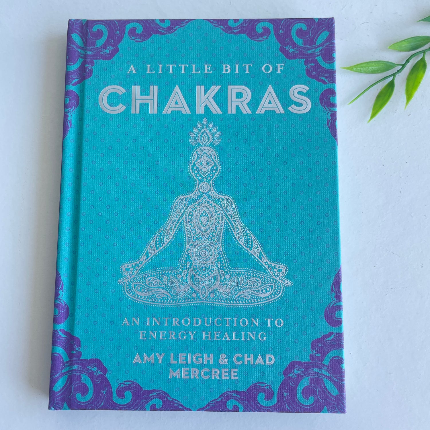A Little Bit Of Chakras Amy Mercree