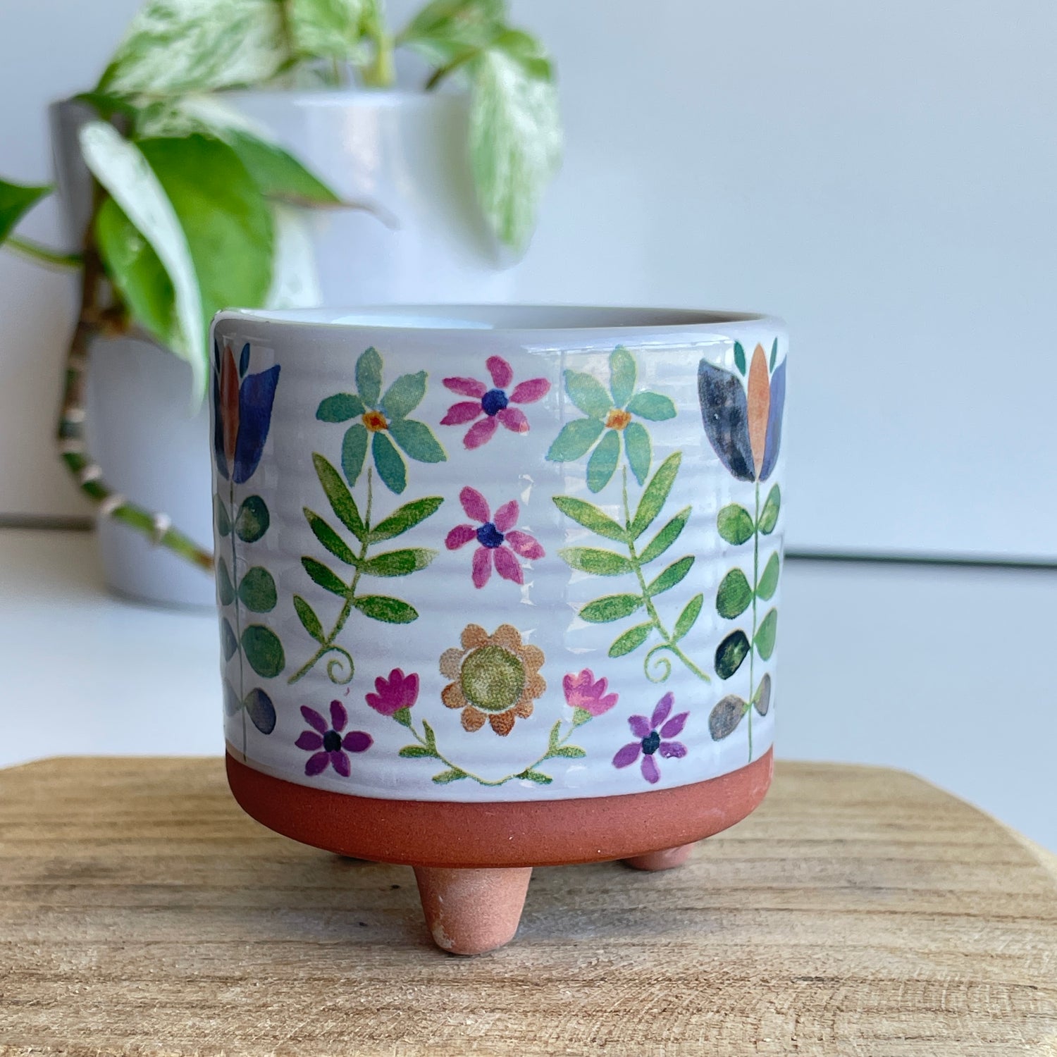Flower Planter plnt000022