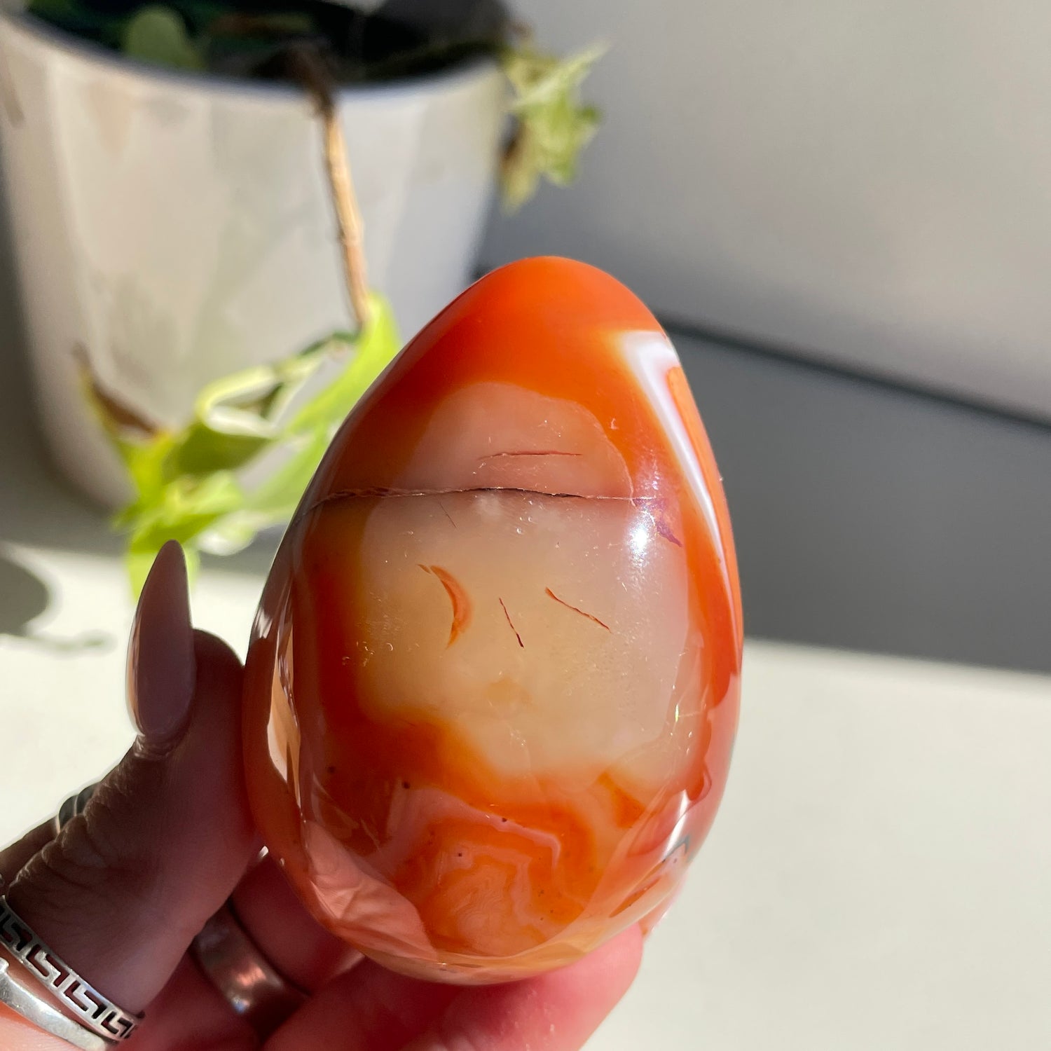 Carnelian Egg 248g