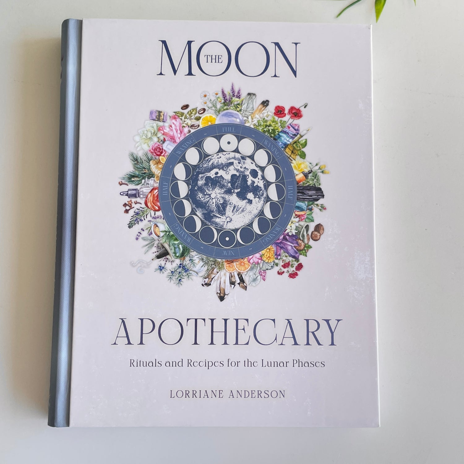 The Moon Apothecary Lorraine Anderson