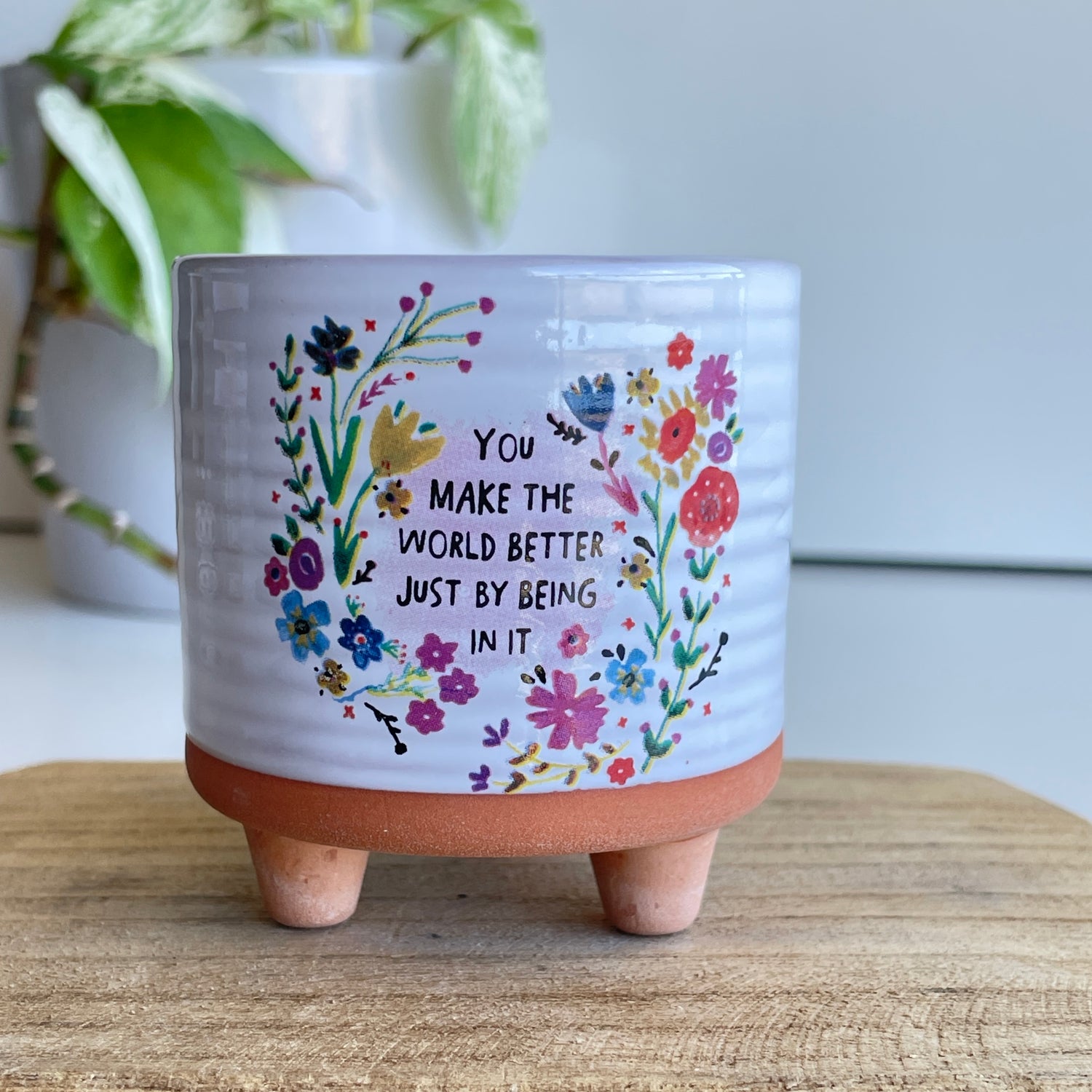 You Make The World Planter PLNT078